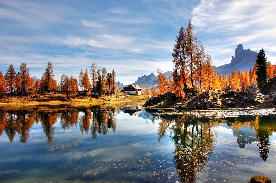 L'autunno è arrivato: una stagione di transizione e rinnovamento