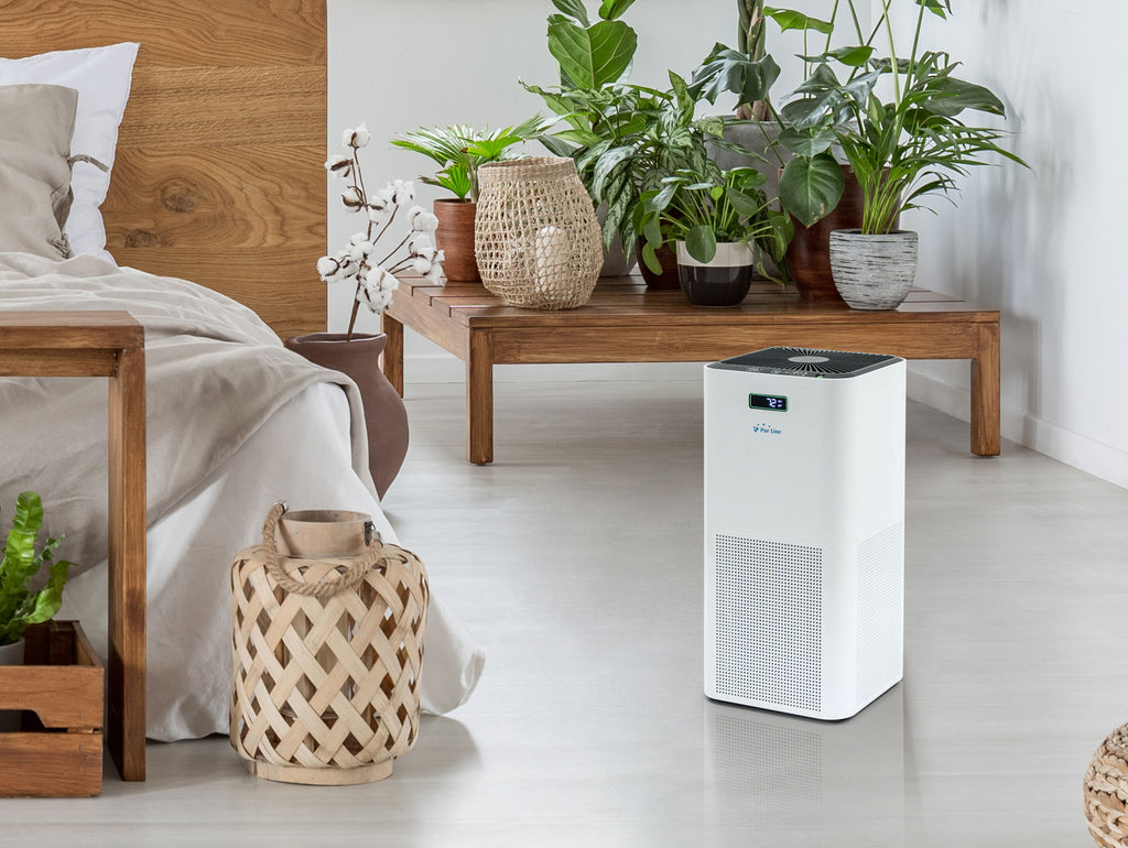 Hai davvero bisogno di un purificatore d'aria in casa?