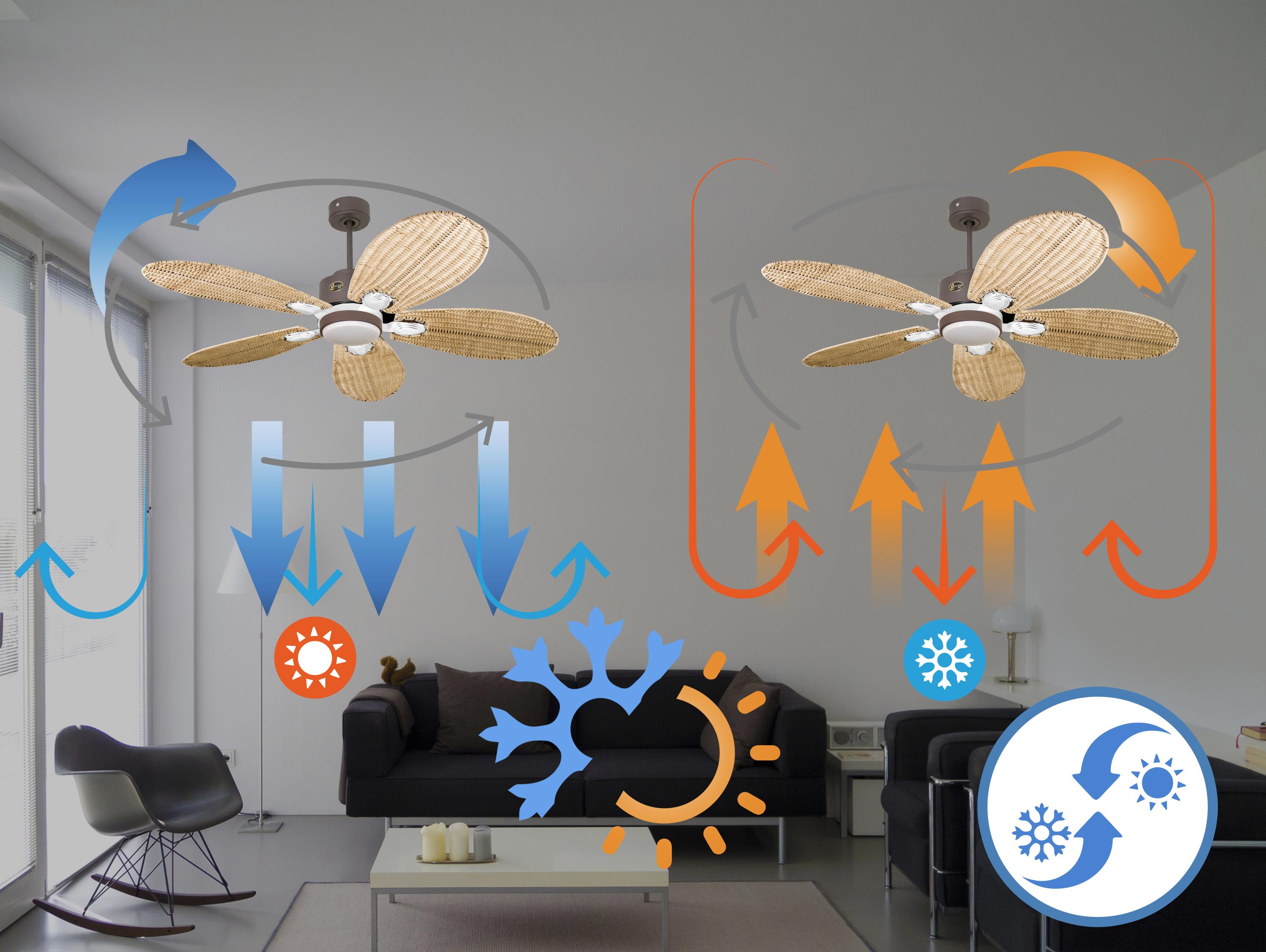 Ventilatore da soffitto Wifi Motore CC Telecomando Luce a tre toni Hypersilence Memoria