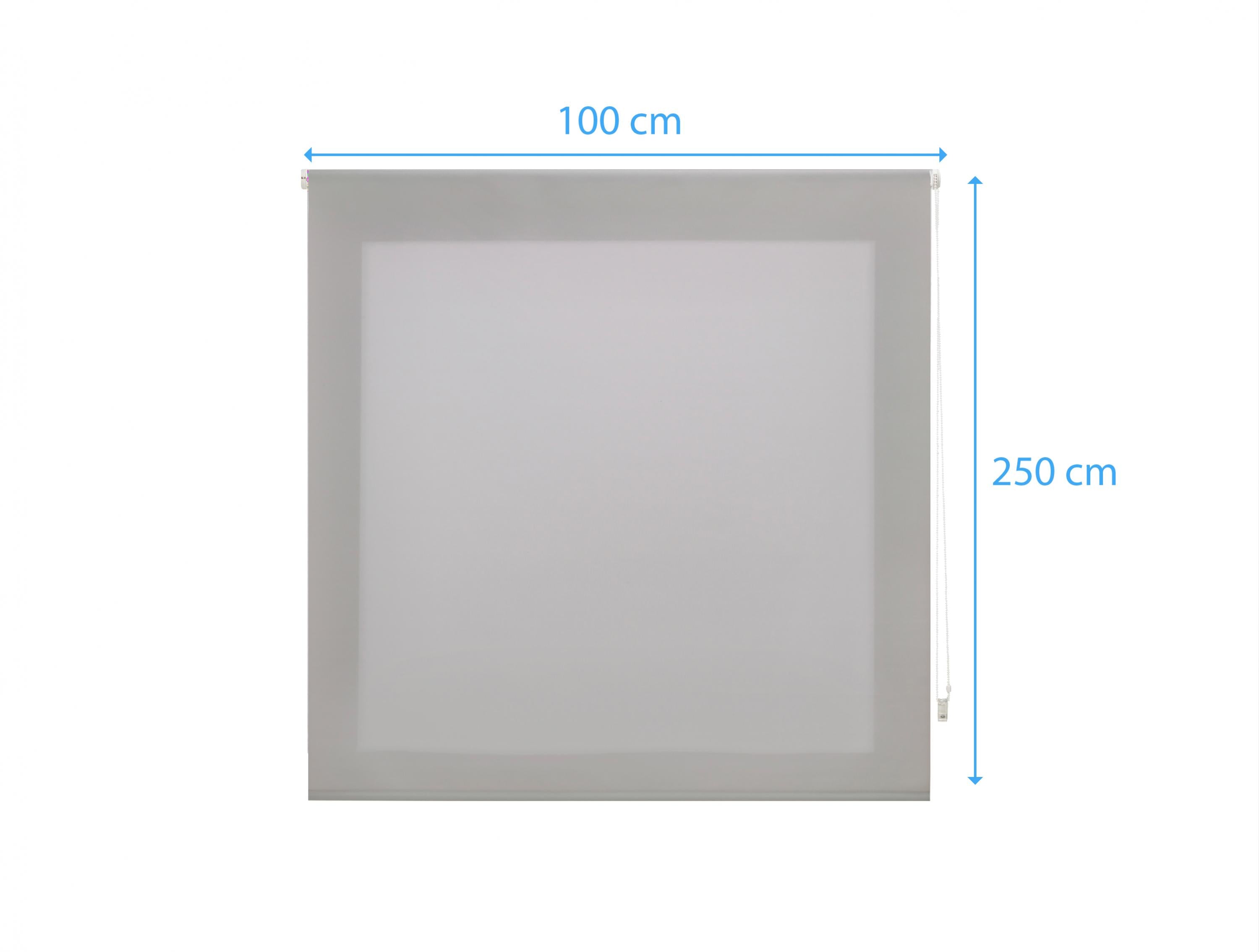 Tenda a Rullo 100X250 D'ARGENTO Poliestere opaco