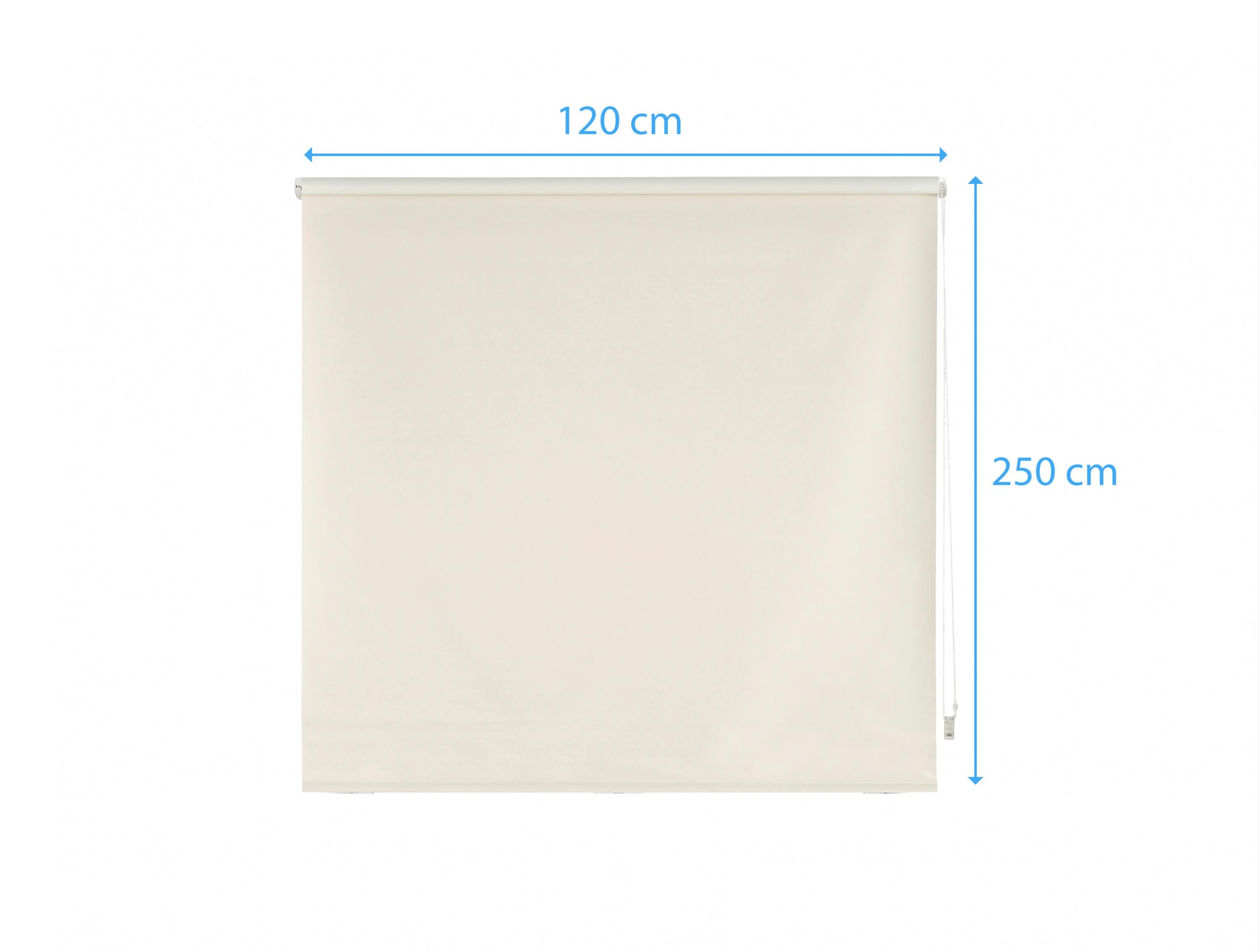 Tenda a rullo 120X250 BEIGE Poliestere opaco