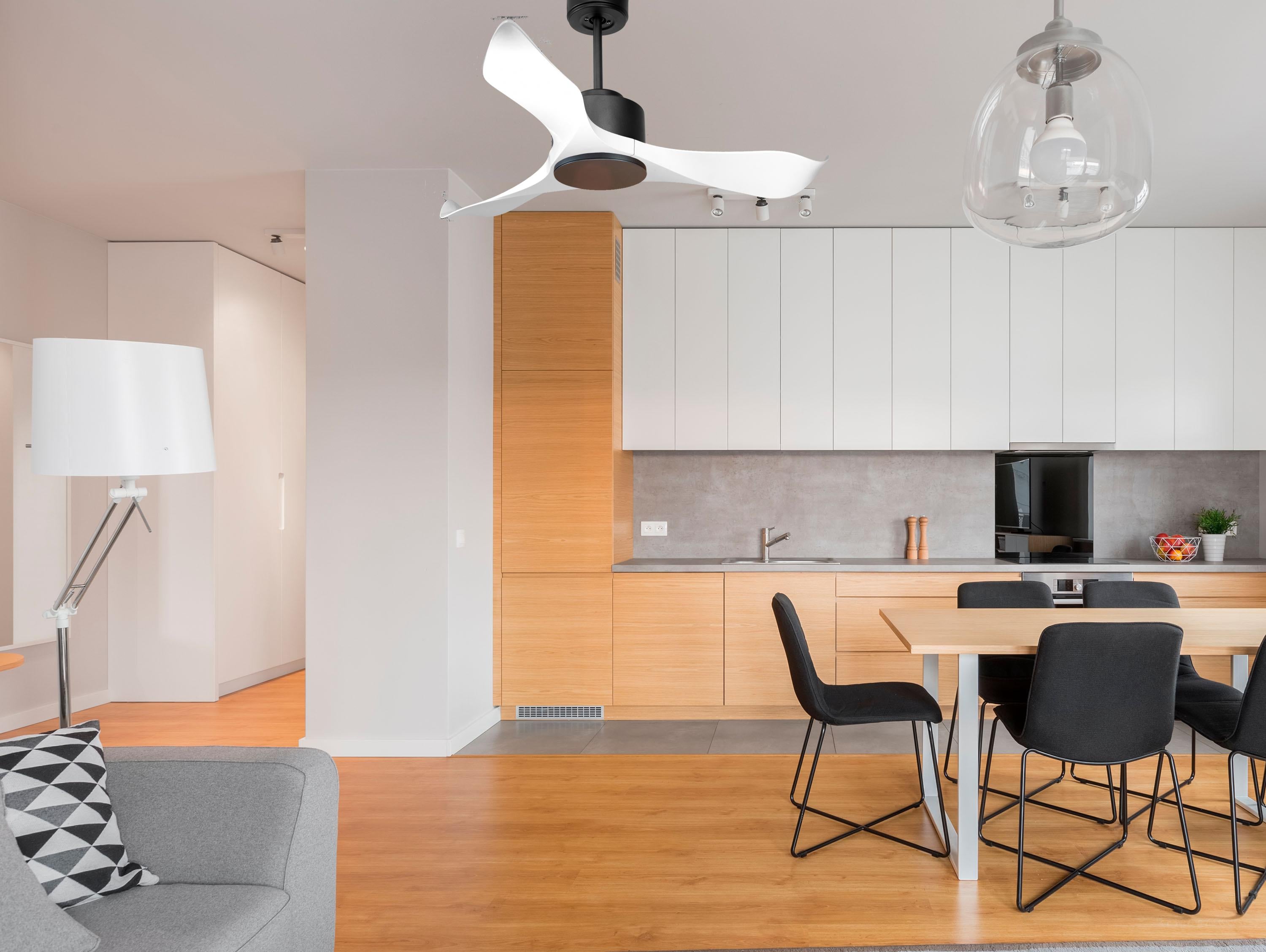 Ventilatore a soffitto ultra silenzioso e a basso consumo DC WhitsundayD106C0267195