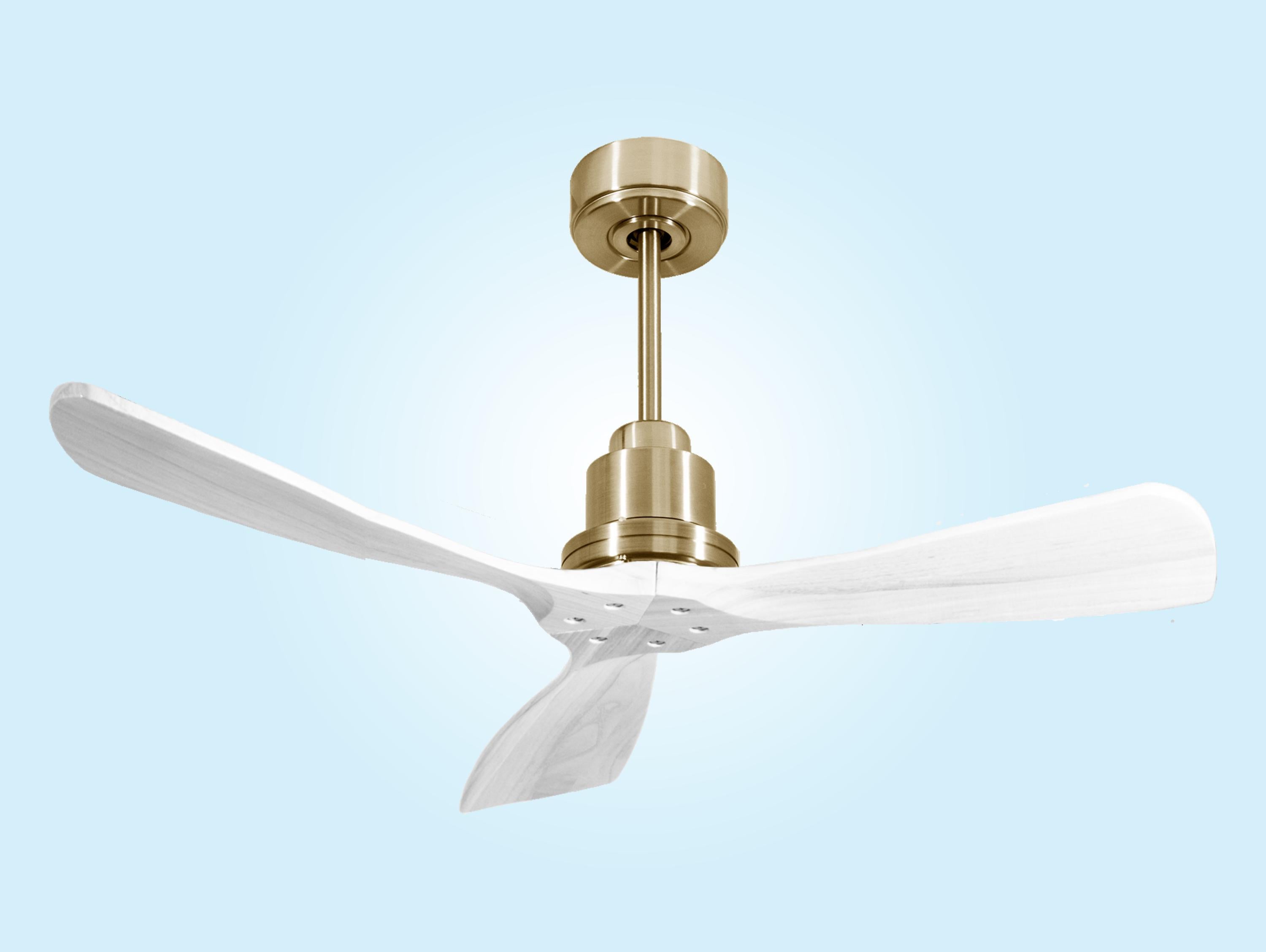Ventilatore da soffitto Reversibile Termostato Wifi Motore CC Tetti inclinati Telecomando Hypersilence Memoria FullWood