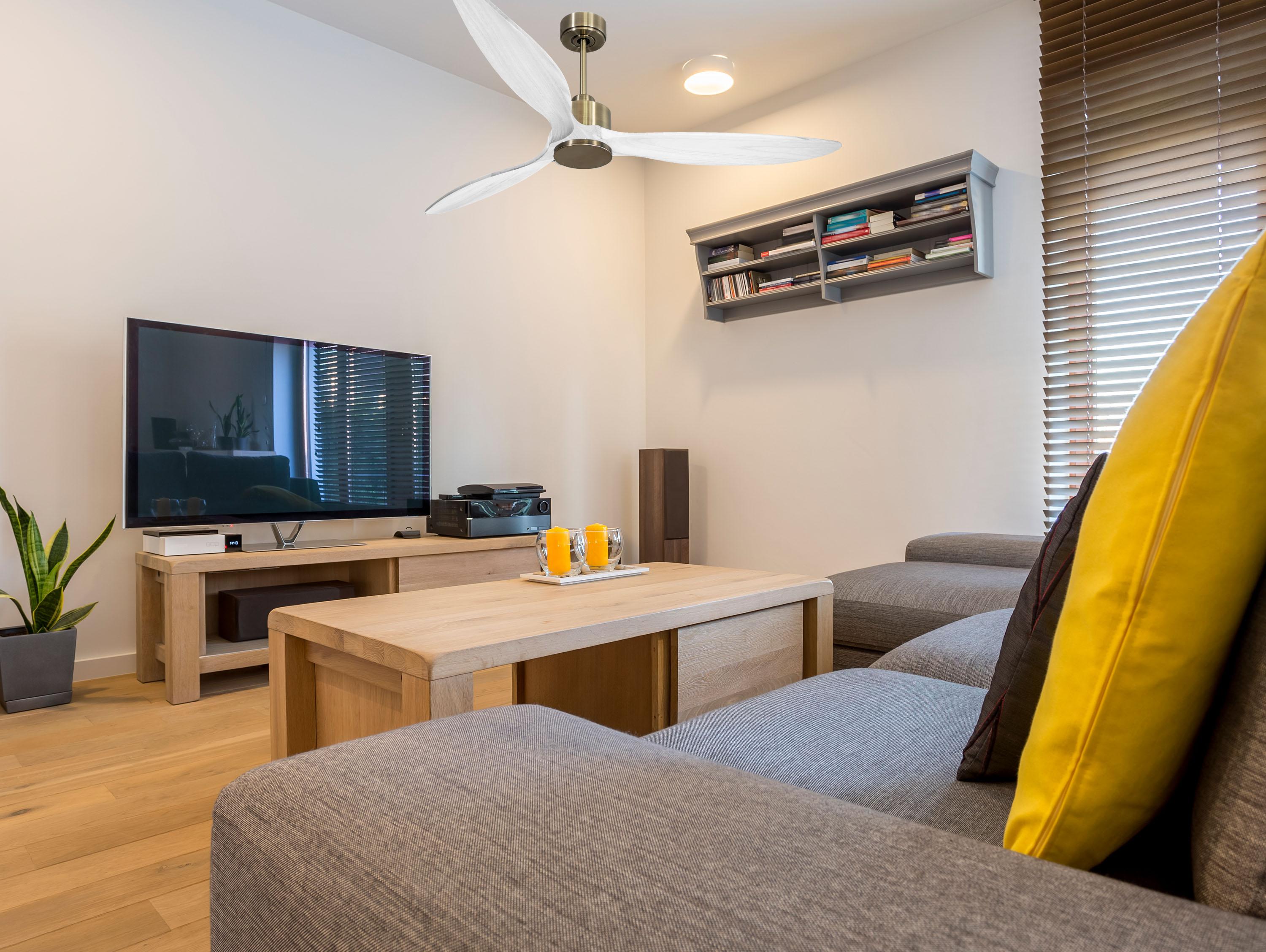 Ventilatore da soffitto Wifi Motore CC Telecomando Hypersilence Memoria FullWood