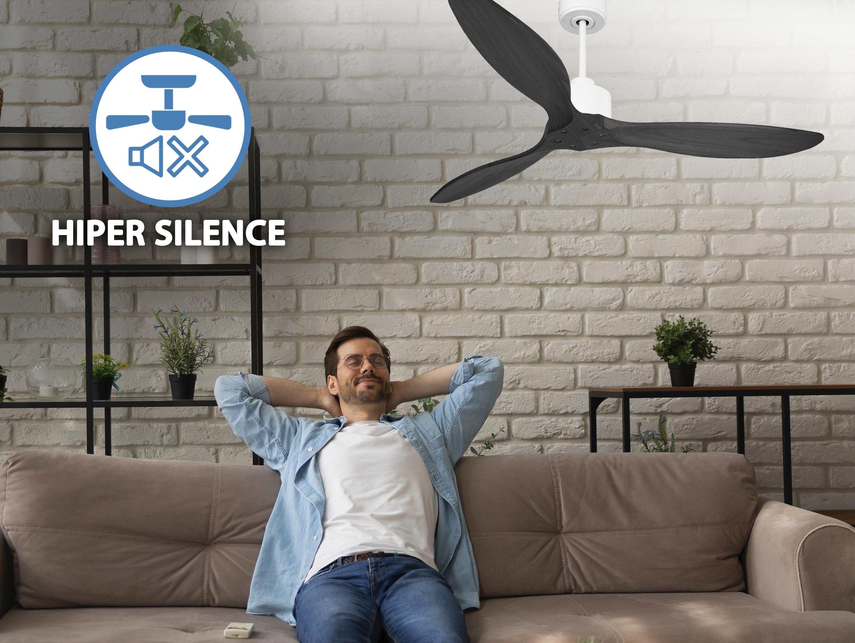 Ventilatore da soffitto Reversibile Termostato Wifi Motore CC Tetti inclinati Telecomando Hypersilence Memoria FullWood