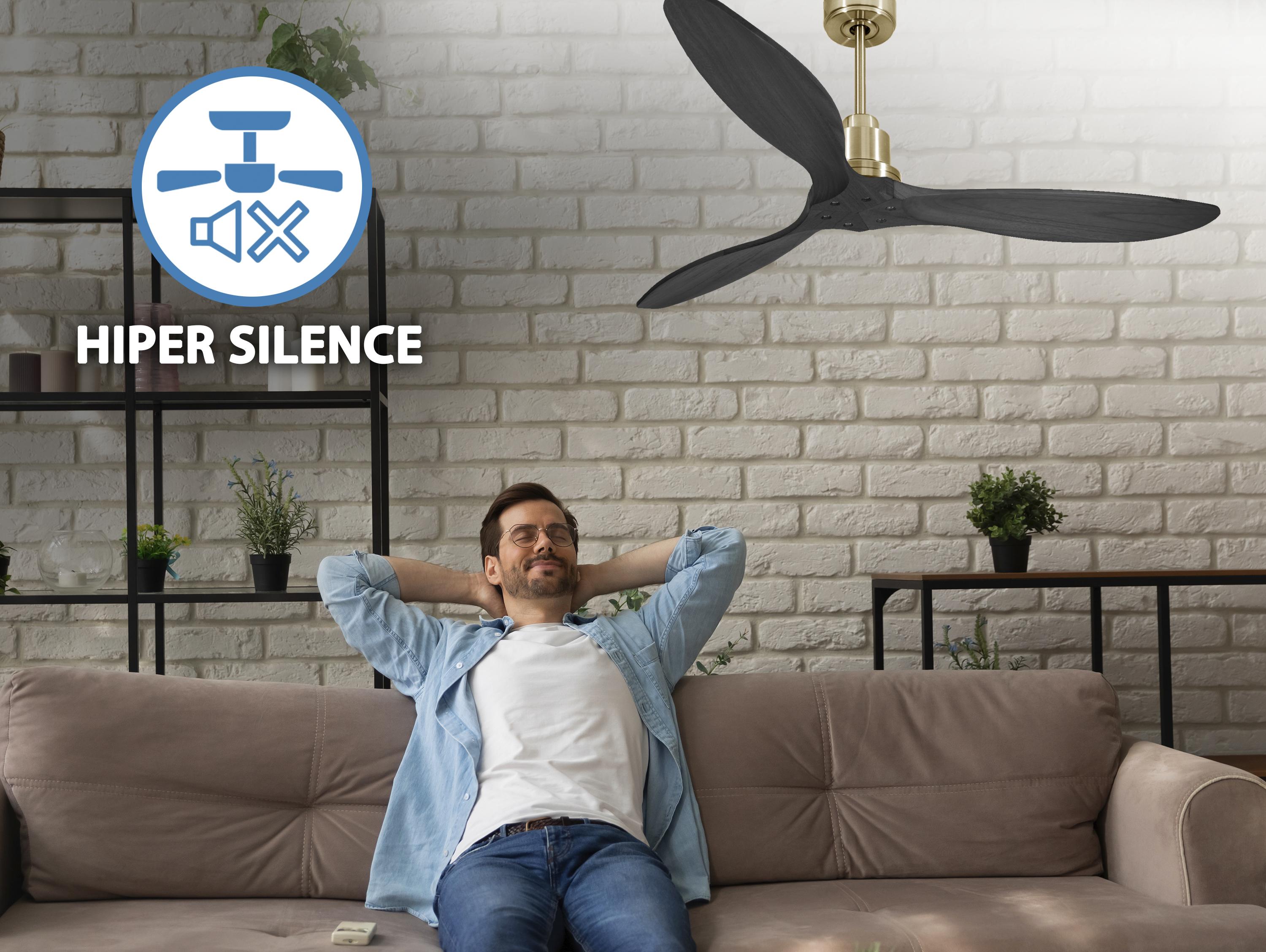Ventilatore da soffitto Reversibile Termostato Wifi Motore CC Tetti inclinati Telecomando Hypersilence Memoria FullWood