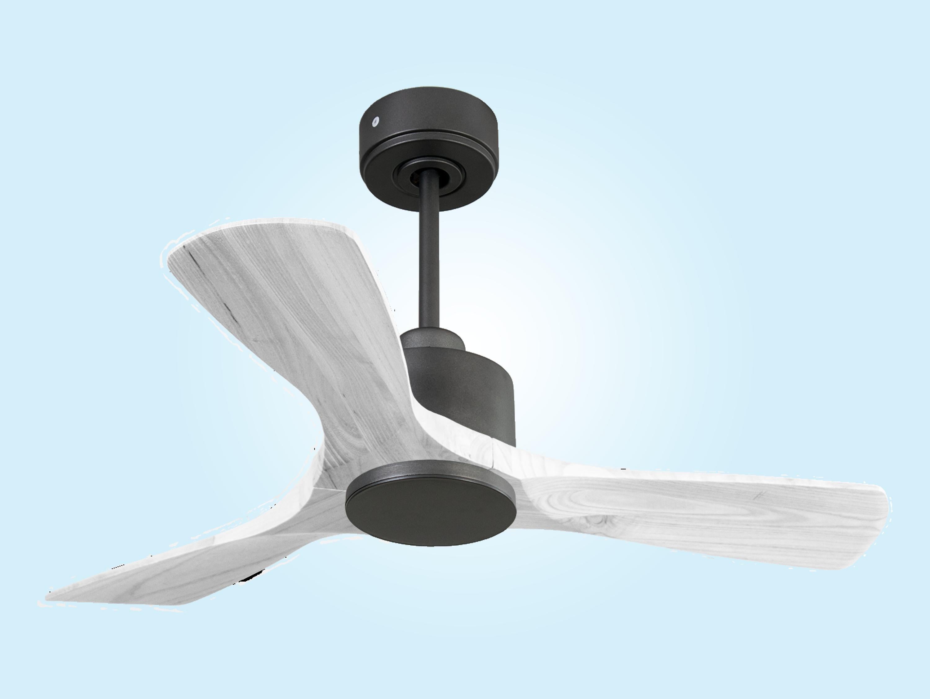 Ventilatore da soffitto Wifi Motore CC Telecomando Hypersilence Memoria