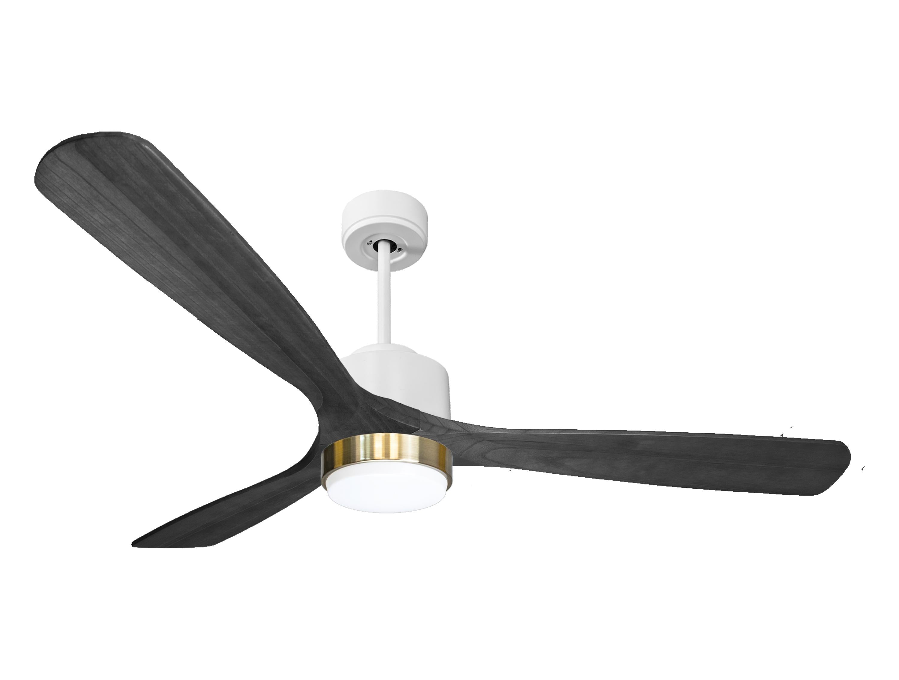 Ventilatore a soffitto ultra silenzioso e a basso consumo DC MaloloD166C02LED69754