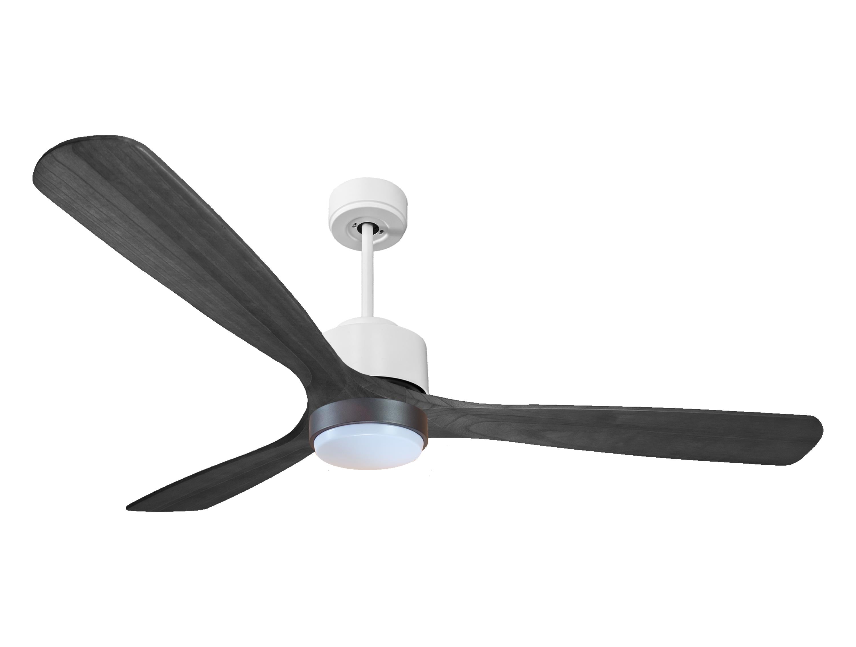 Ventilatore a soffitto ultra silenzioso e a basso consumo DC MaloloD166C02LED69755