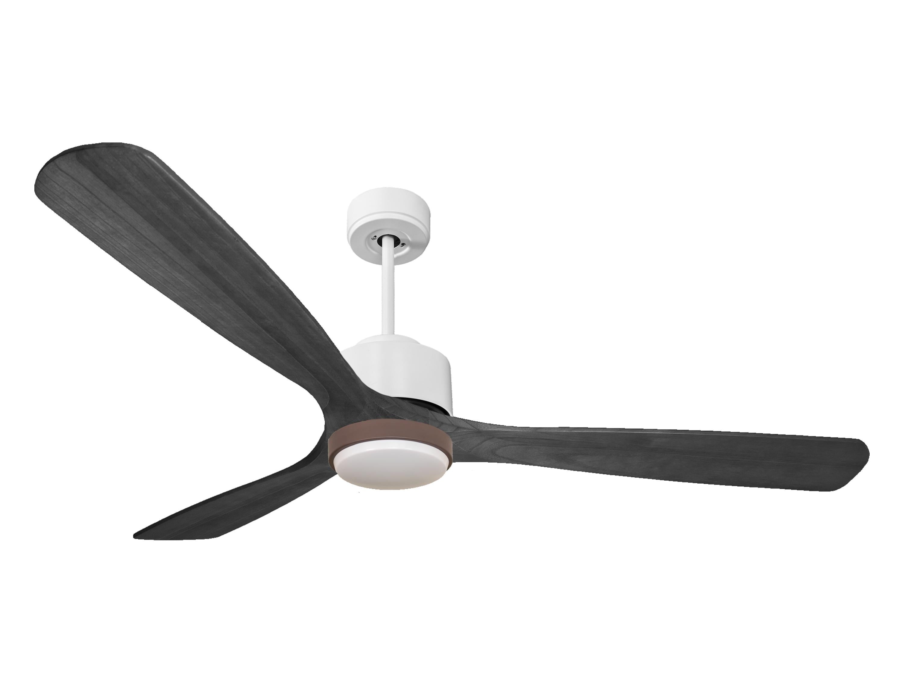 Ventilatore a soffitto ultra silenzioso e a basso consumo DC MaloloD166C02LED69756