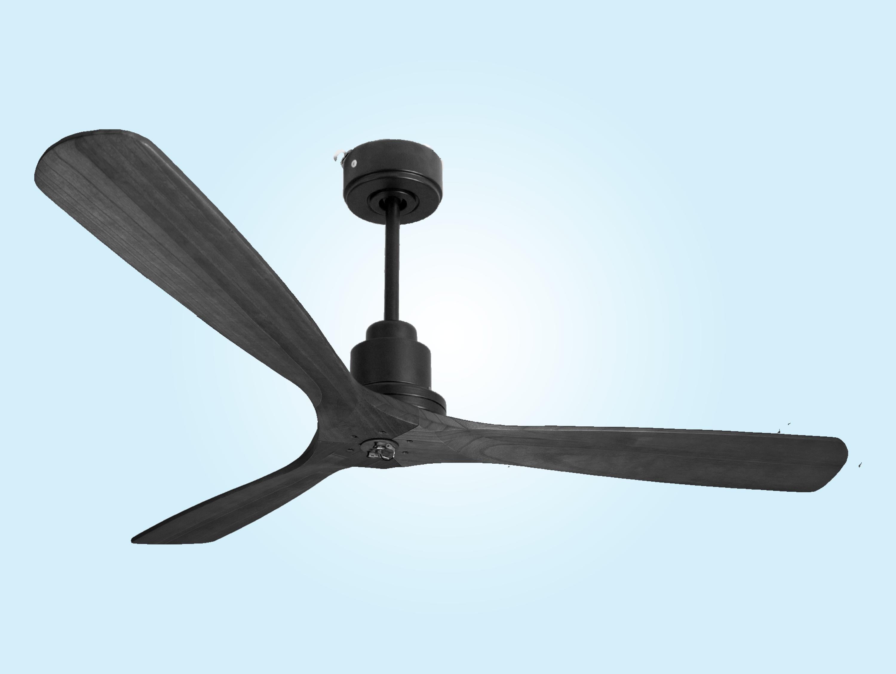Ventilatore da soffitto Reversibile Termostato Dimmabile Wifi Motore CC Tetti inclinati Telecomando Luce a tre toni Hypersilence Memoria