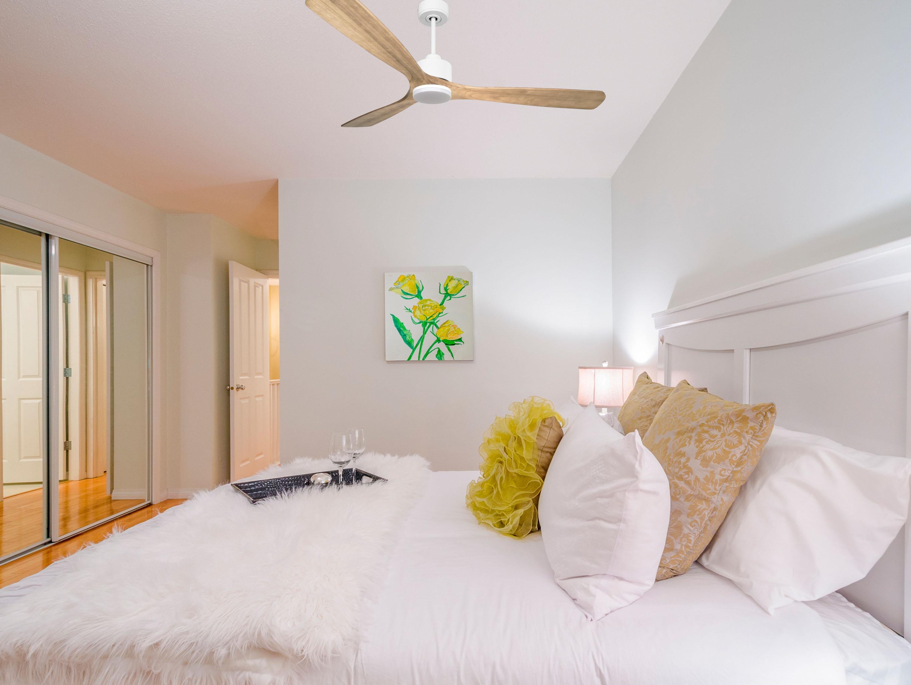 Ventilatore da soffitto Reversibile Termostato Dimmabile Wifi Motore CC Tetti inclinati Telecomando Luce a tre toni Hypersilence Memoria