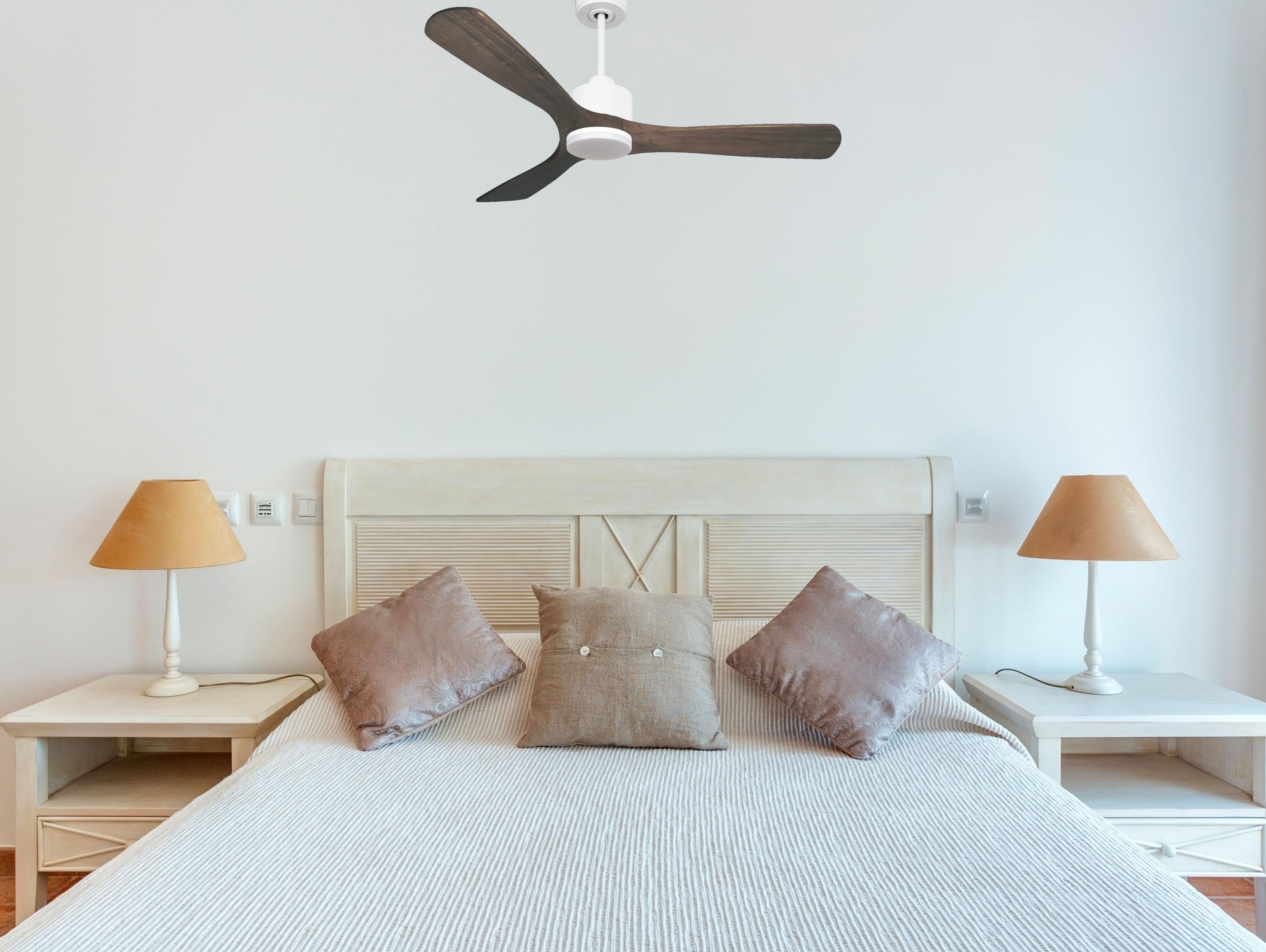 Ventilatore da soffitto Reversibile Termostato Dimmabile Wifi Motore CC Tetti inclinati Telecomando Luce a tre toni Hypersilence Memoria