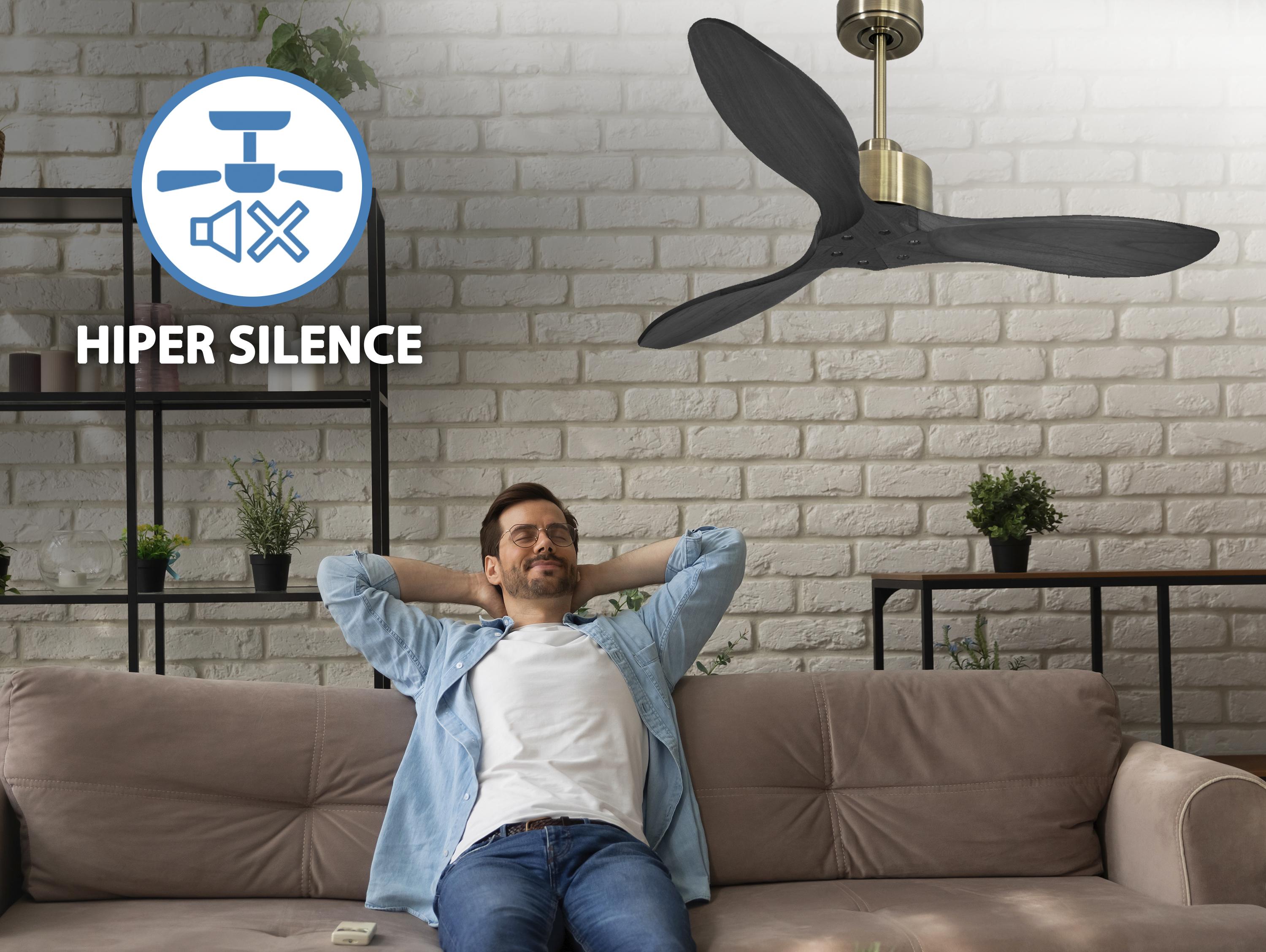 Ventilatore da soffitto Reversibile Termostato Wifi Motore CC Tetti inclinati Telecomando Hypersilence Memoria FullWood