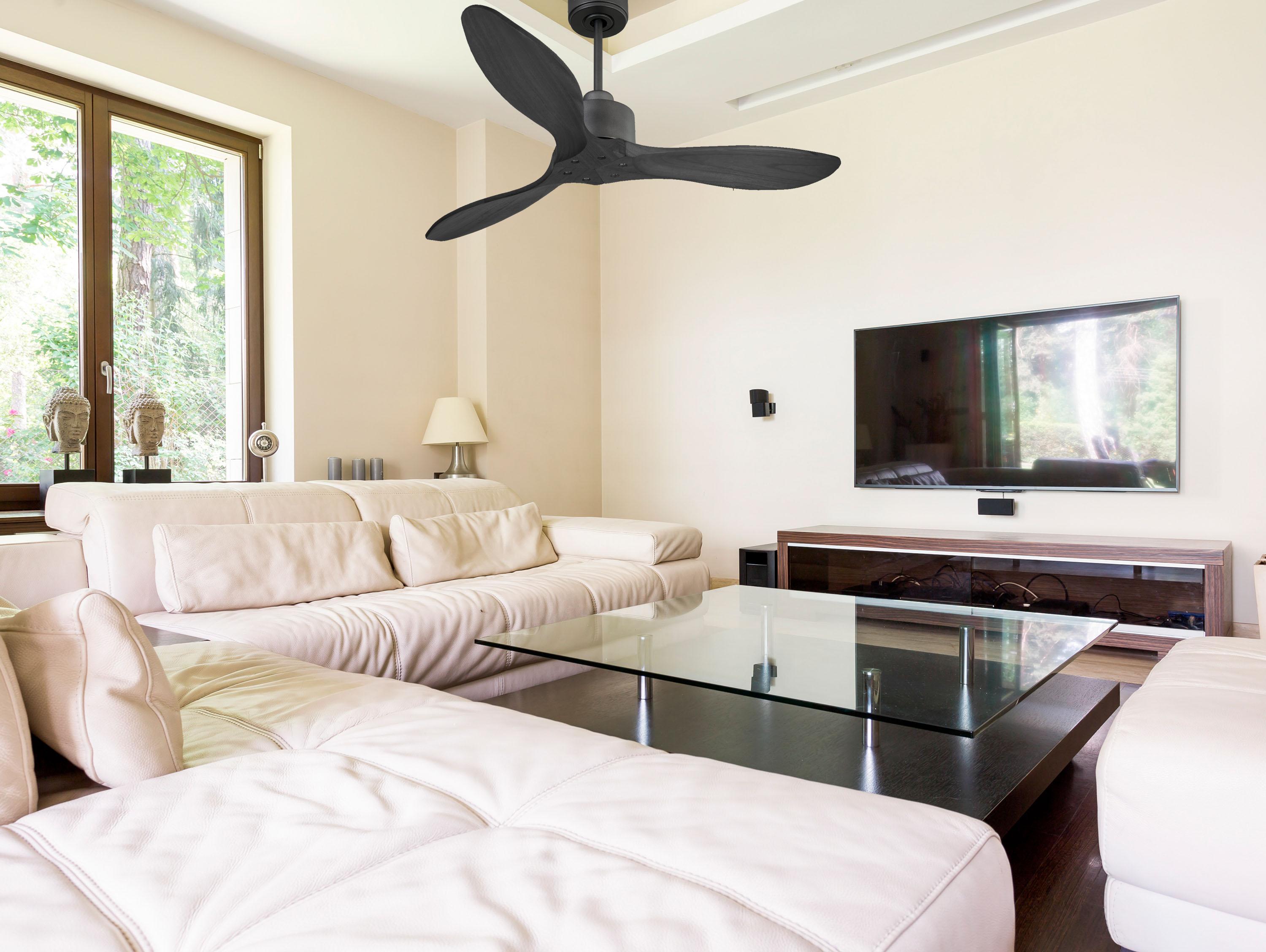 Ventilatore da soffitto Reversibile Termostato Wifi Motore CC Tetti inclinati Telecomando Hypersilence Memoria FullWood