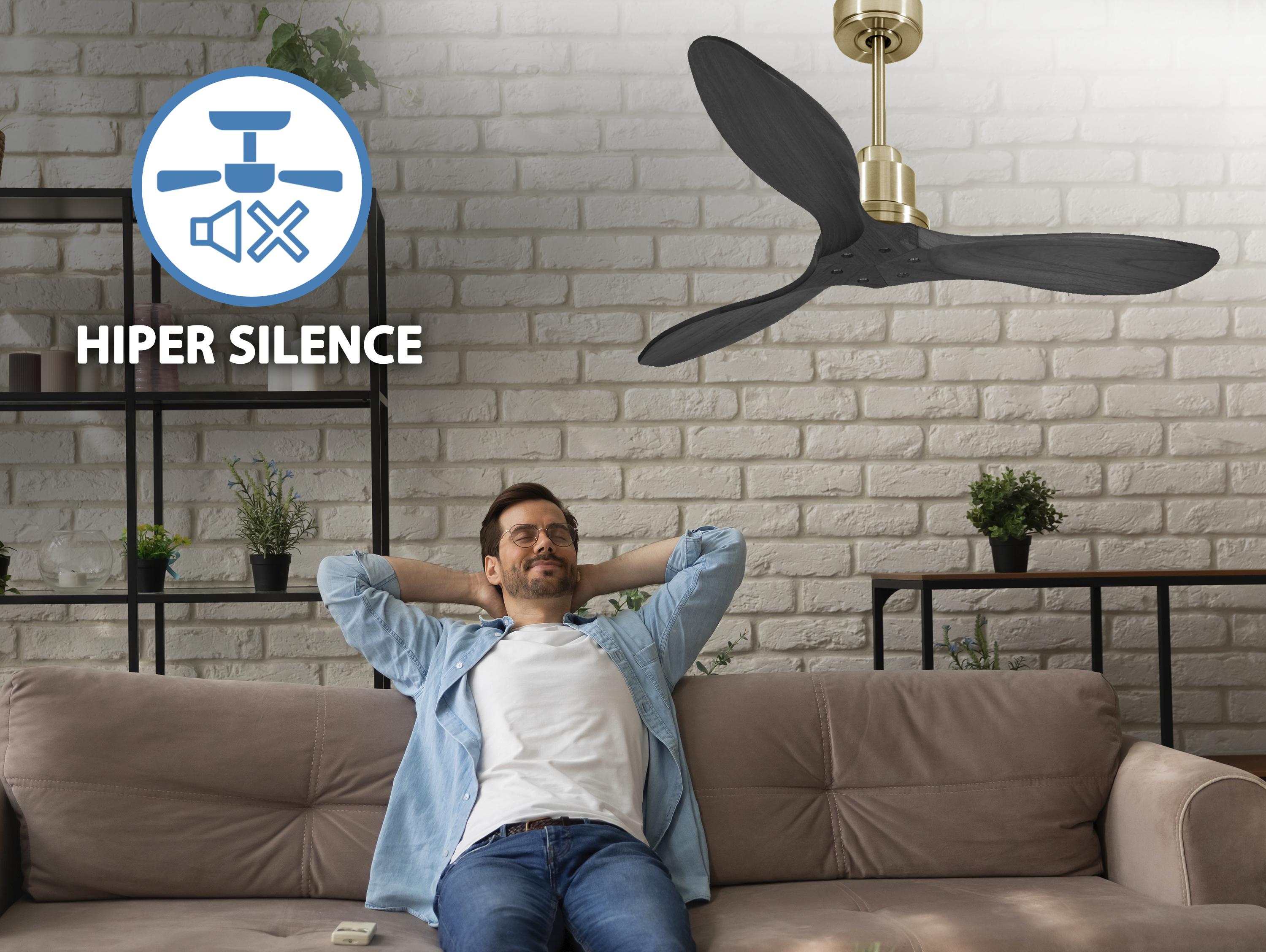 Ventilatore da soffitto Reversibile Termostato Wifi Motore CC Tetti inclinati Telecomando Hypersilence Memoria FullWood