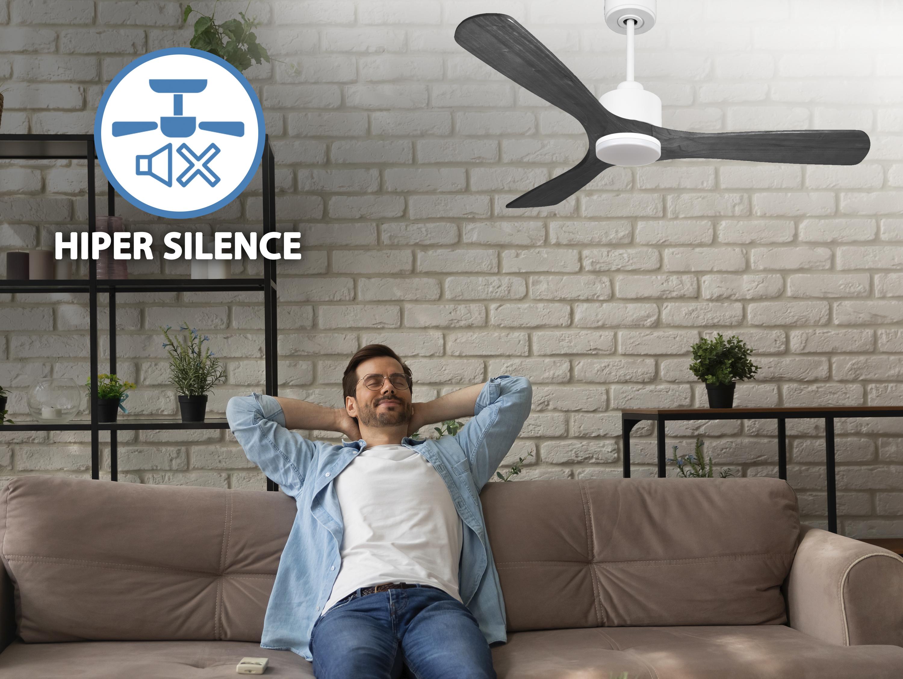 Ventilatore da soffitto Reversibile Termostato Dimmabile Wifi Motore CC Tetti inclinati Telecomando Luce a tre toni Hypersilence Memoria