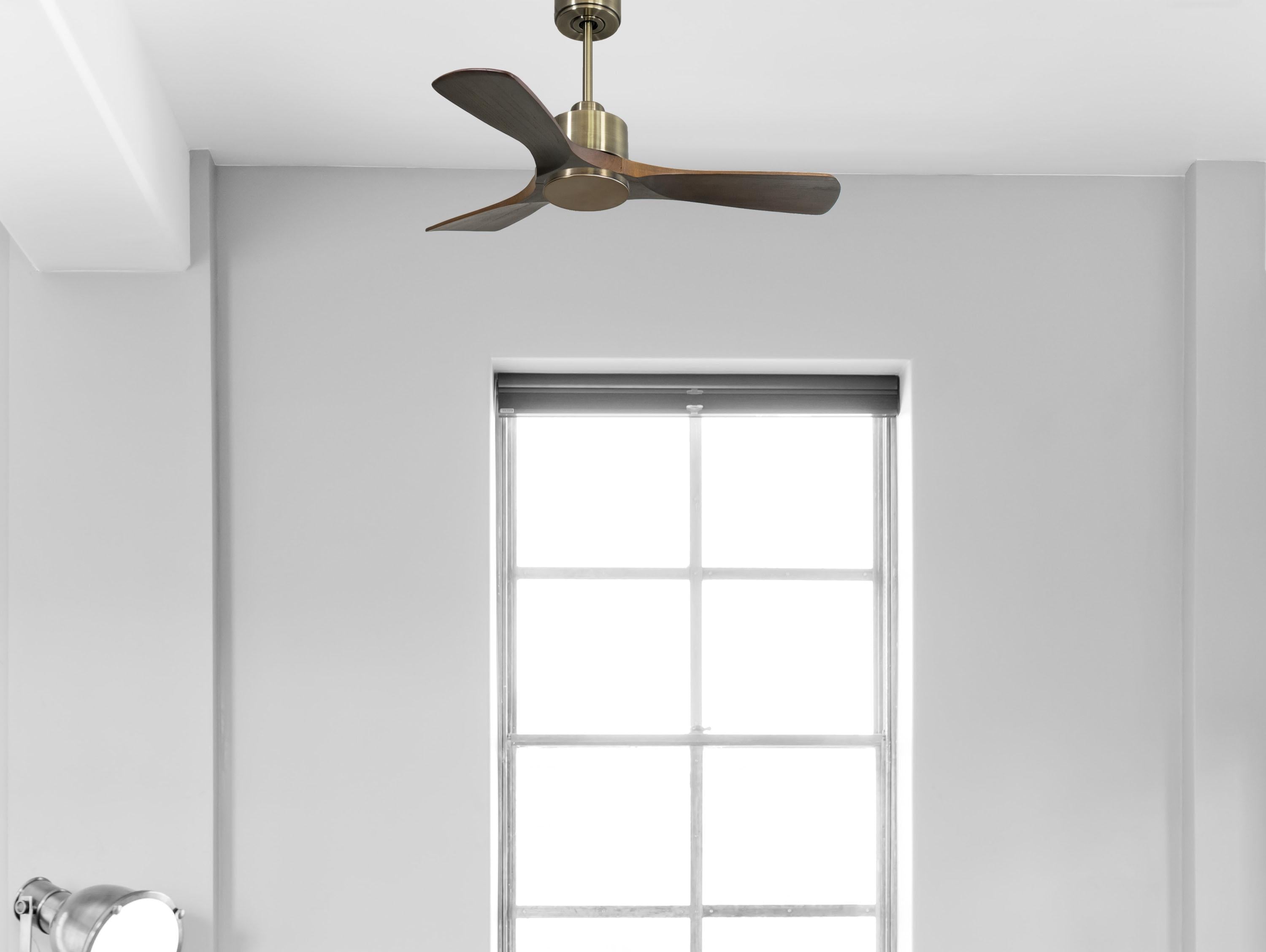 Ventilatore da soffitto Reversibile Termostato Wifi Motore CC Tetti inclinati Telecomando Hypersilence Memoria