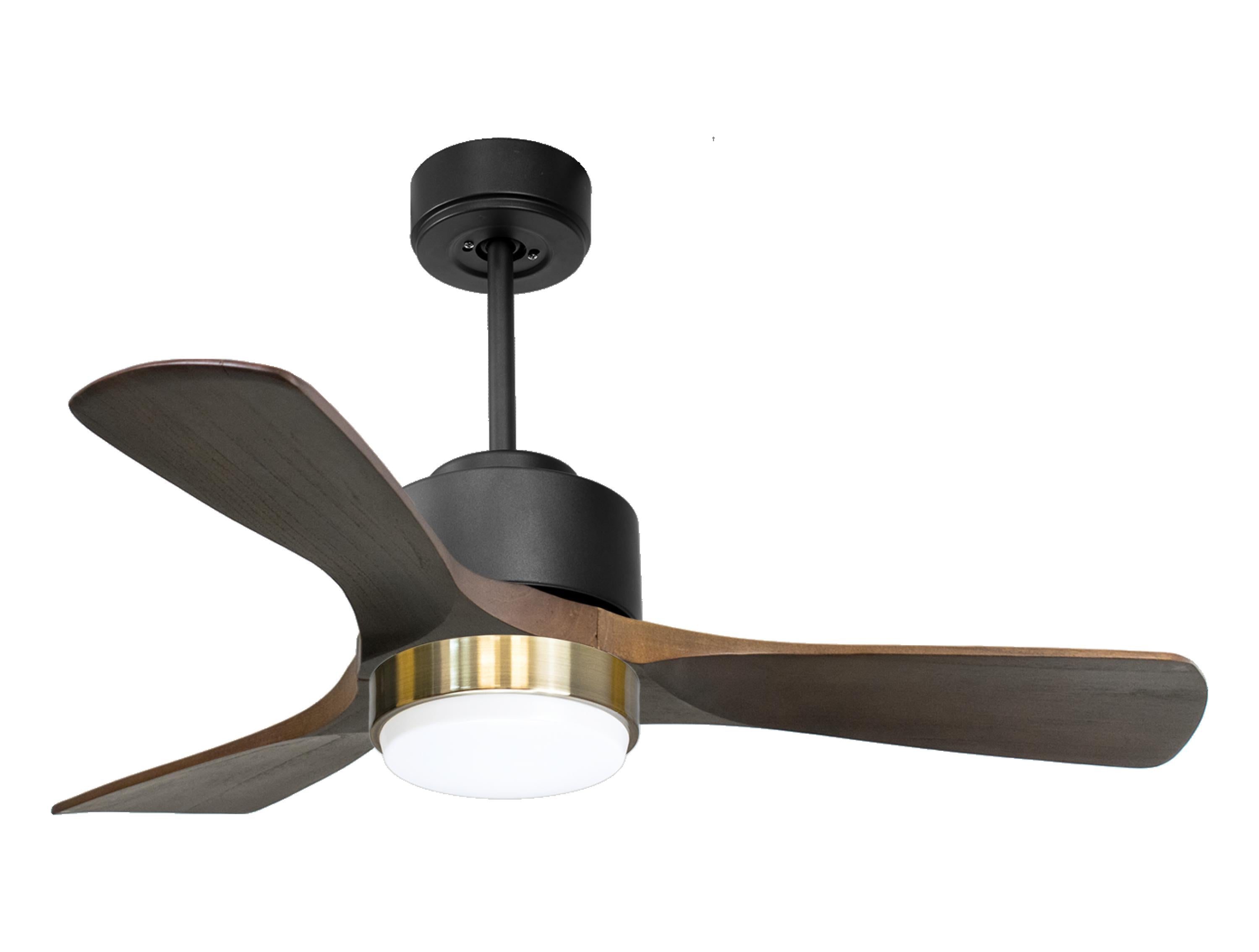 Ventilatore a soffitto ultra silenzioso e a basso consumo DC PrincipeD106C02LED68860