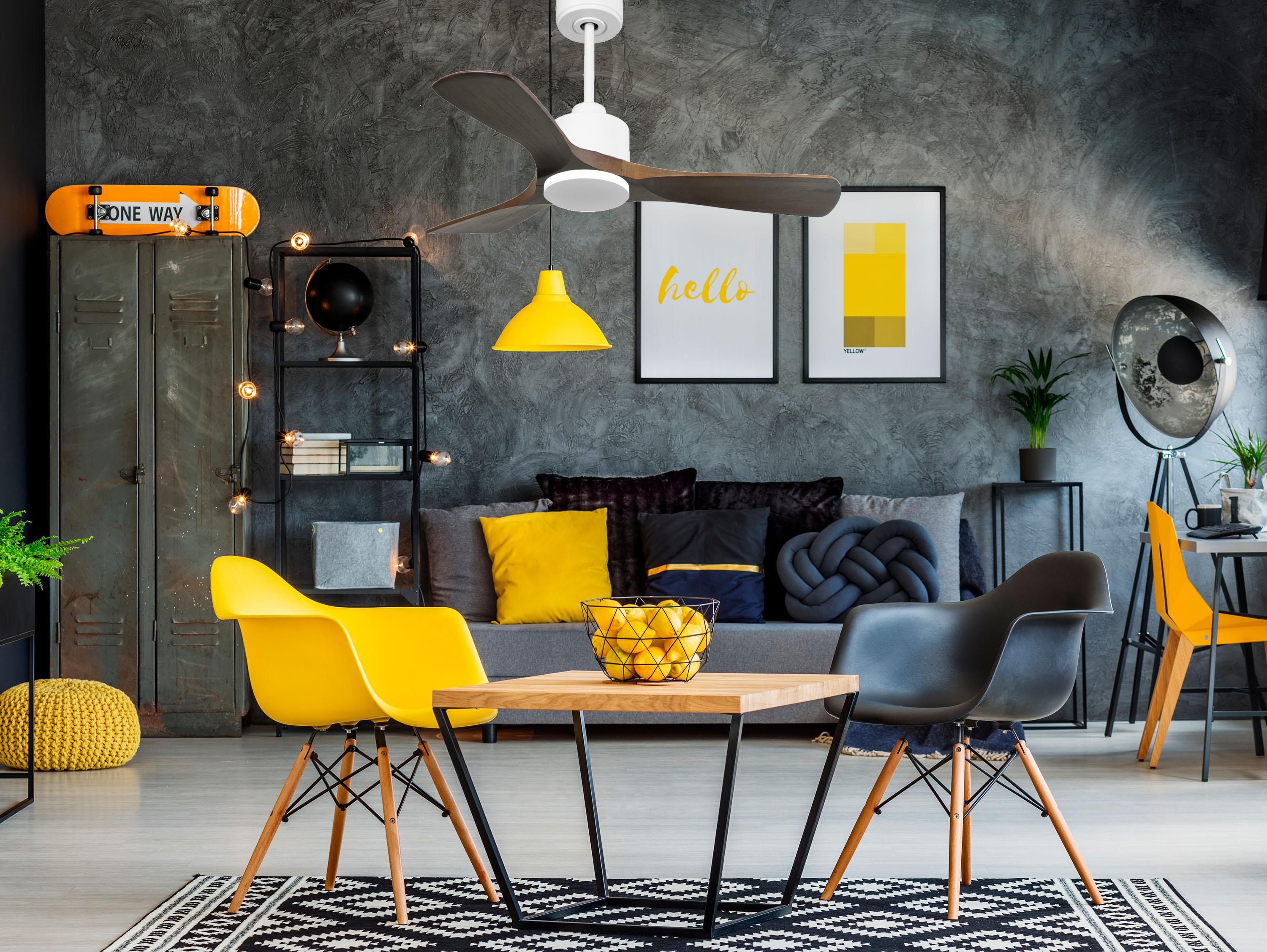 Ventilatore da soffitto Reversibile Termostato Wifi Motore CC Tetti inclinati Telecomando Hypersilence Memoria