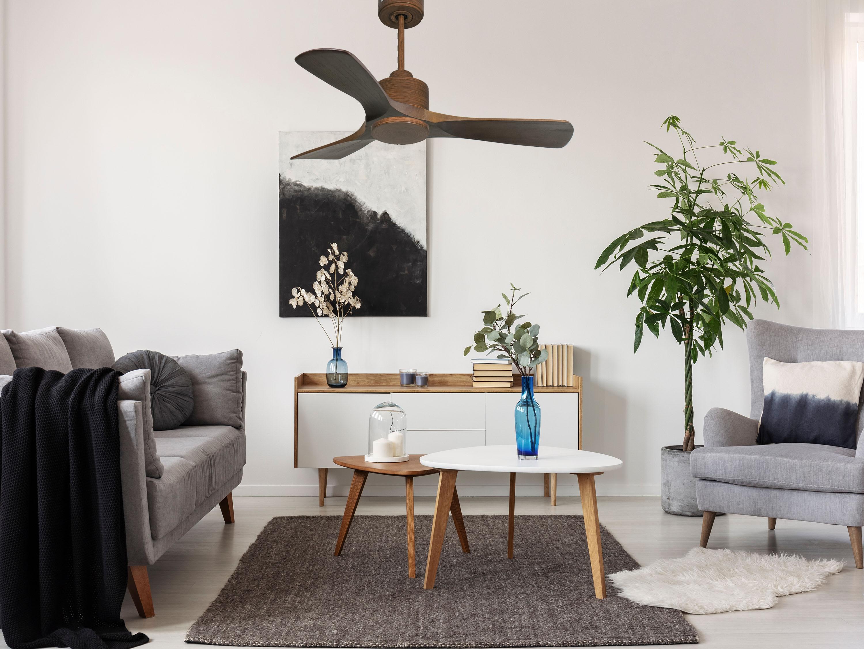 Ventilatore da soffitto Reversibile Termostato Wifi Motore CC Tetti inclinati Telecomando Hypersilence Memoria