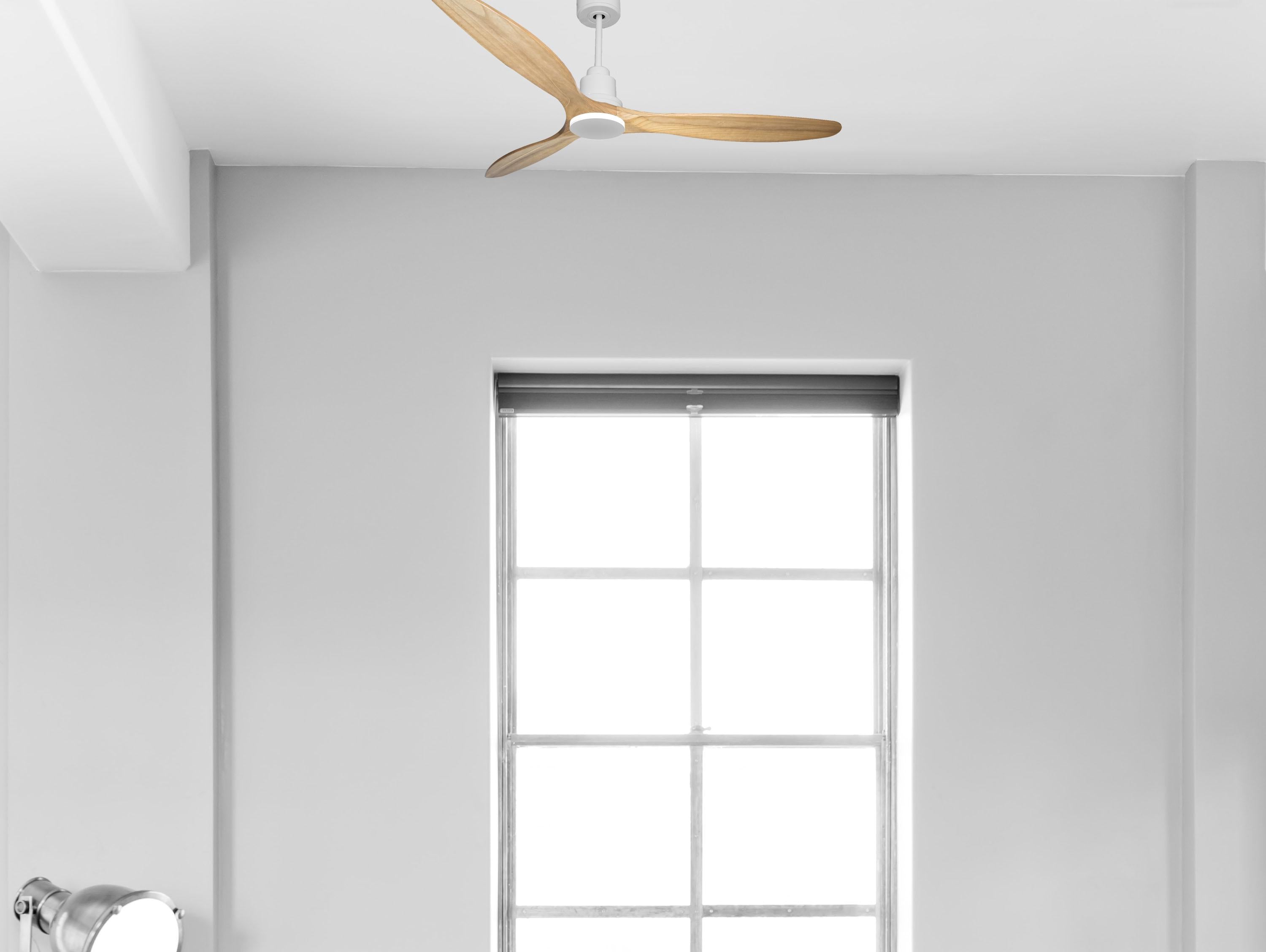 Ventilatore da soffitto Reversibile Termostato Wifi Motore CC Tetti inclinati Telecomando Hypersilence Memoria