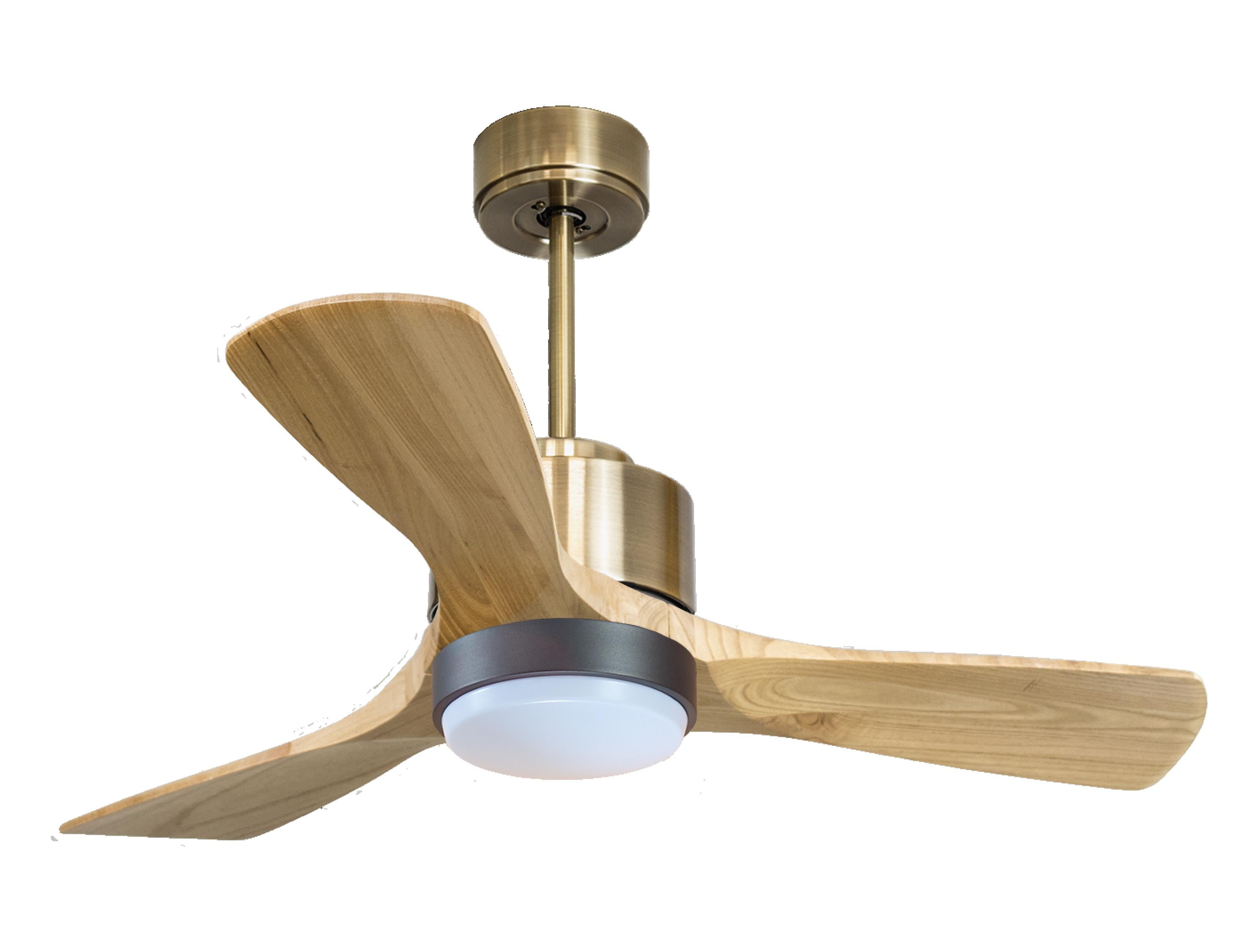 Ventilatore a soffitto ultra silenzioso e a basso consumo DC RarotongaD106C02LED65938