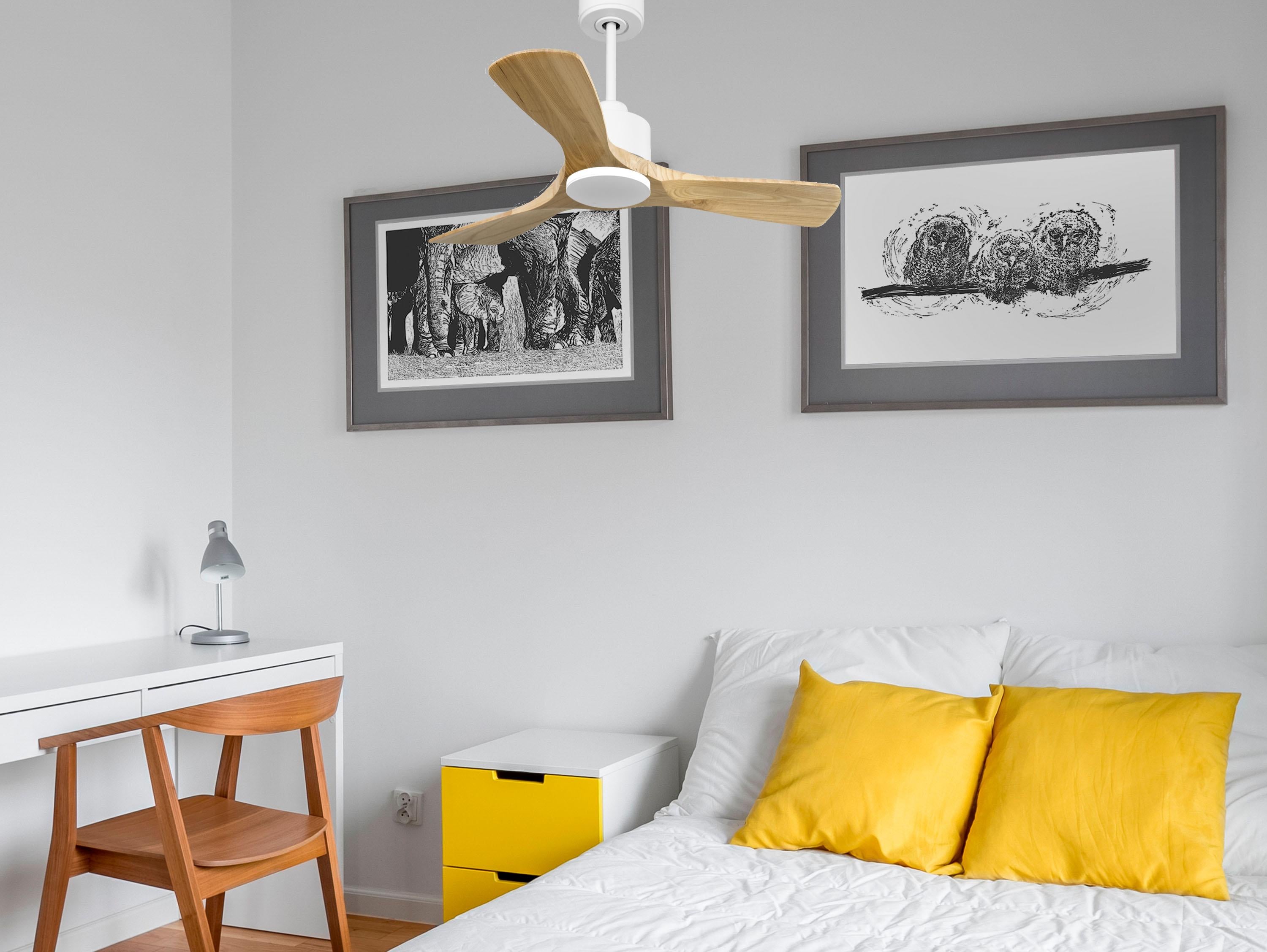 Ventilatore da soffitto Reversibile Termostato Wifi Motore CC Tetti inclinati Telecomando Hypersilence Memoria