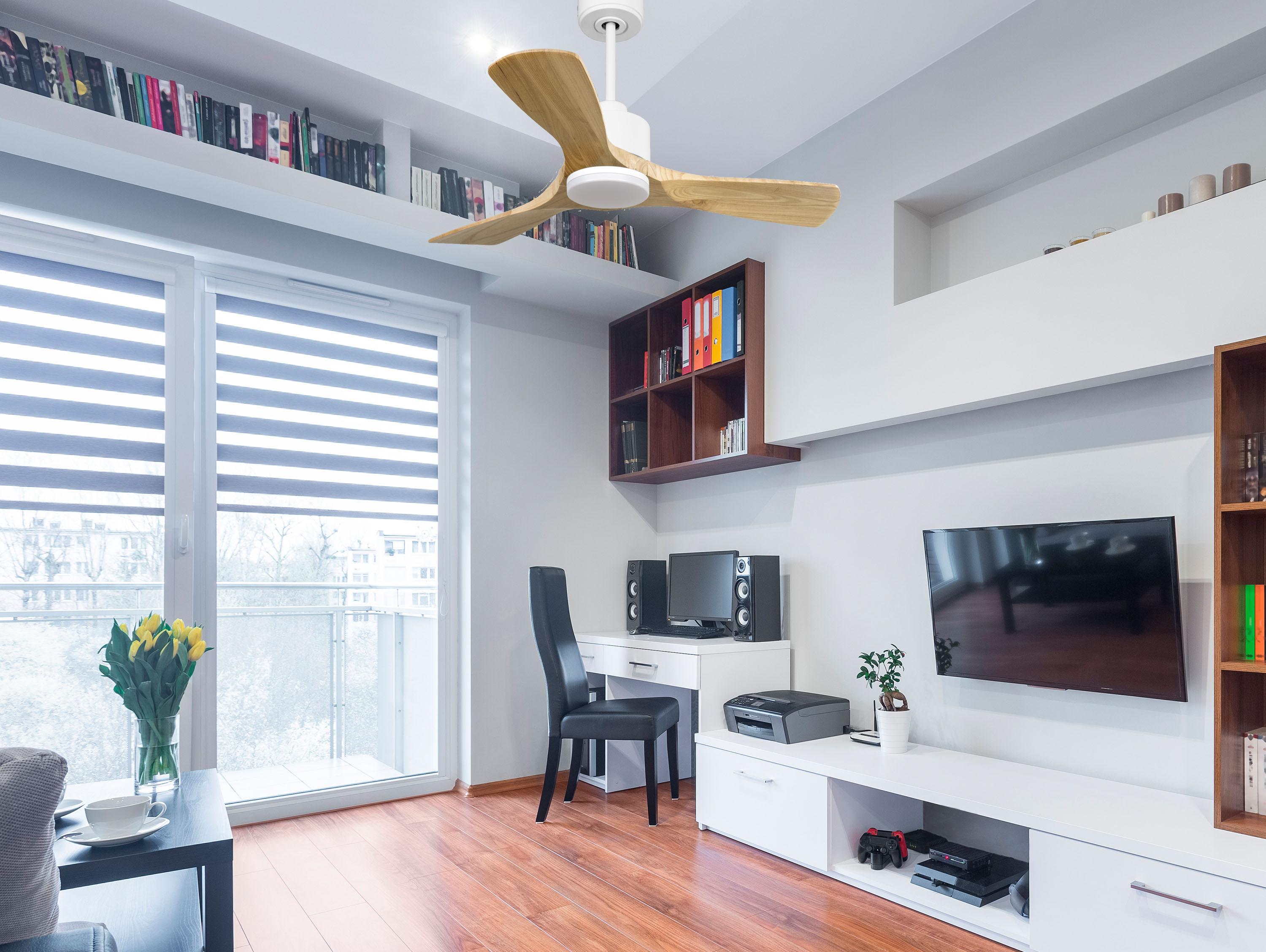 Ventilatore da soffitto Reversibile Termostato Dimmabile Wifi Motore CC Tetti inclinati Telecomando Luce a tre toni Hypersilence Memoria
