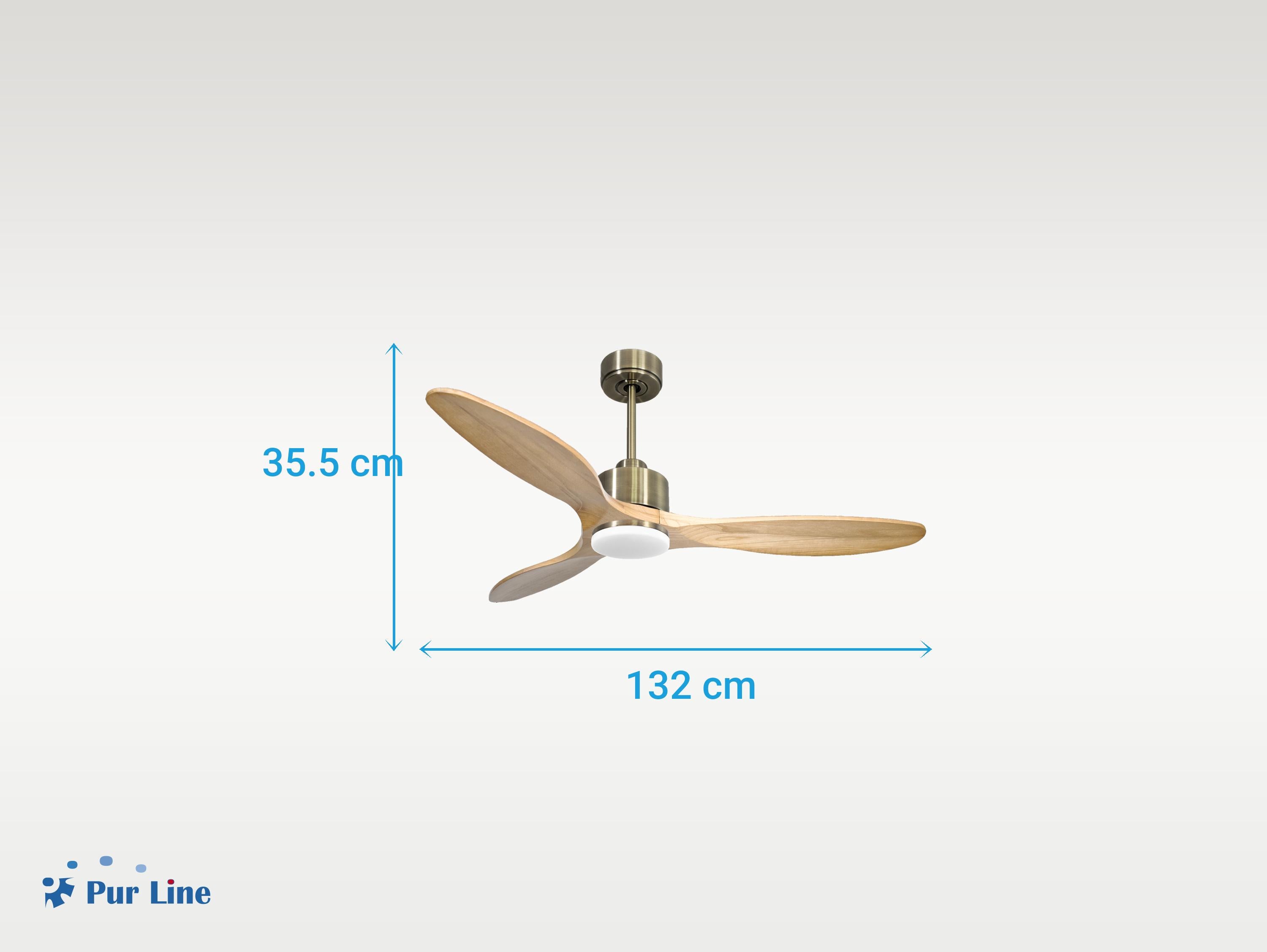 Ventilatore da soffitto Reversibile Termostato Dimmabile Wifi Motore CC Tetti inclinati Telecomando Luce a tre toni Hypersilence Memoria