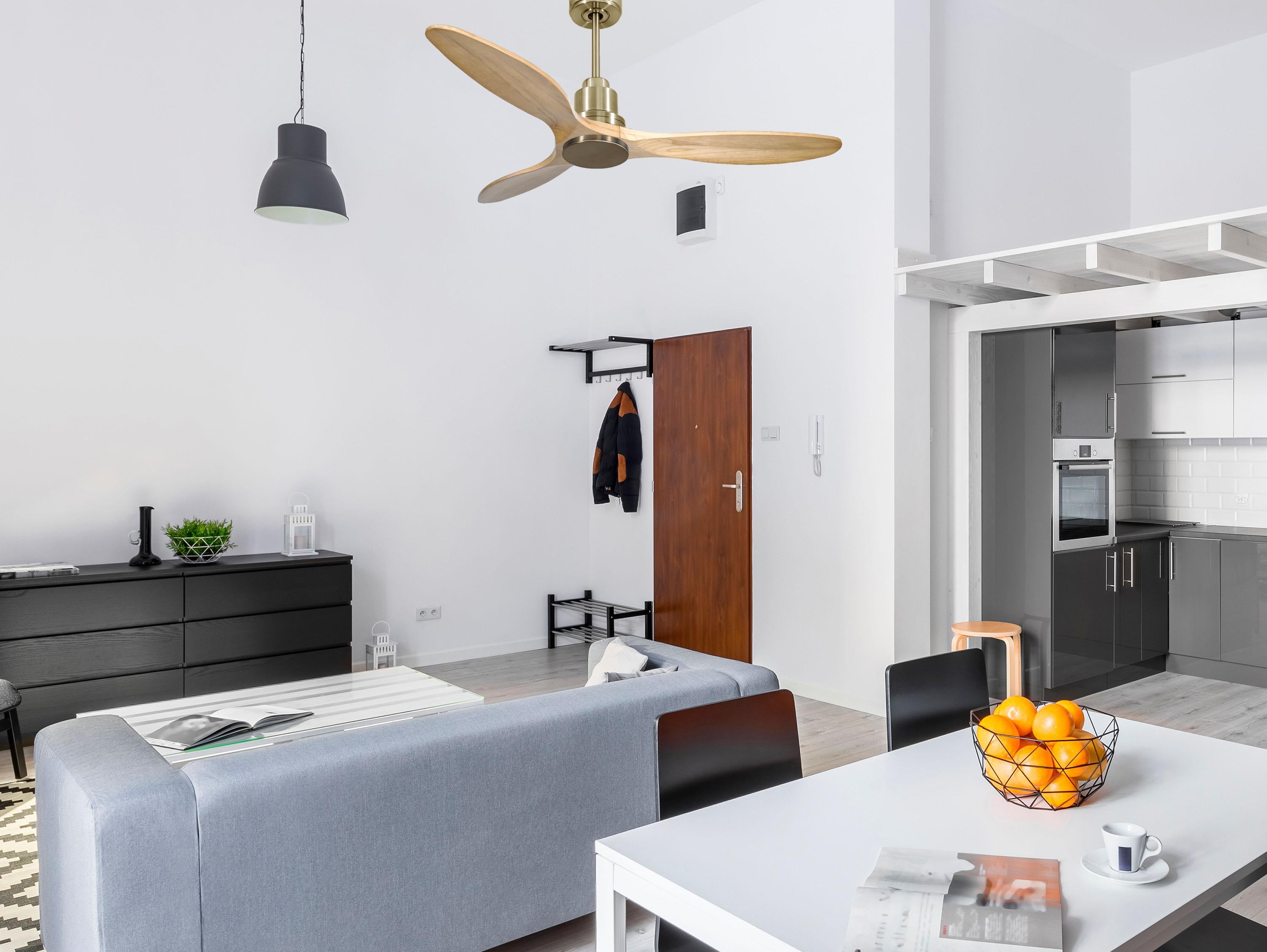 Ventilatore da soffitto Reversibile Termostato Wifi Motore CC Tetti inclinati Telecomando Hypersilence Memoria