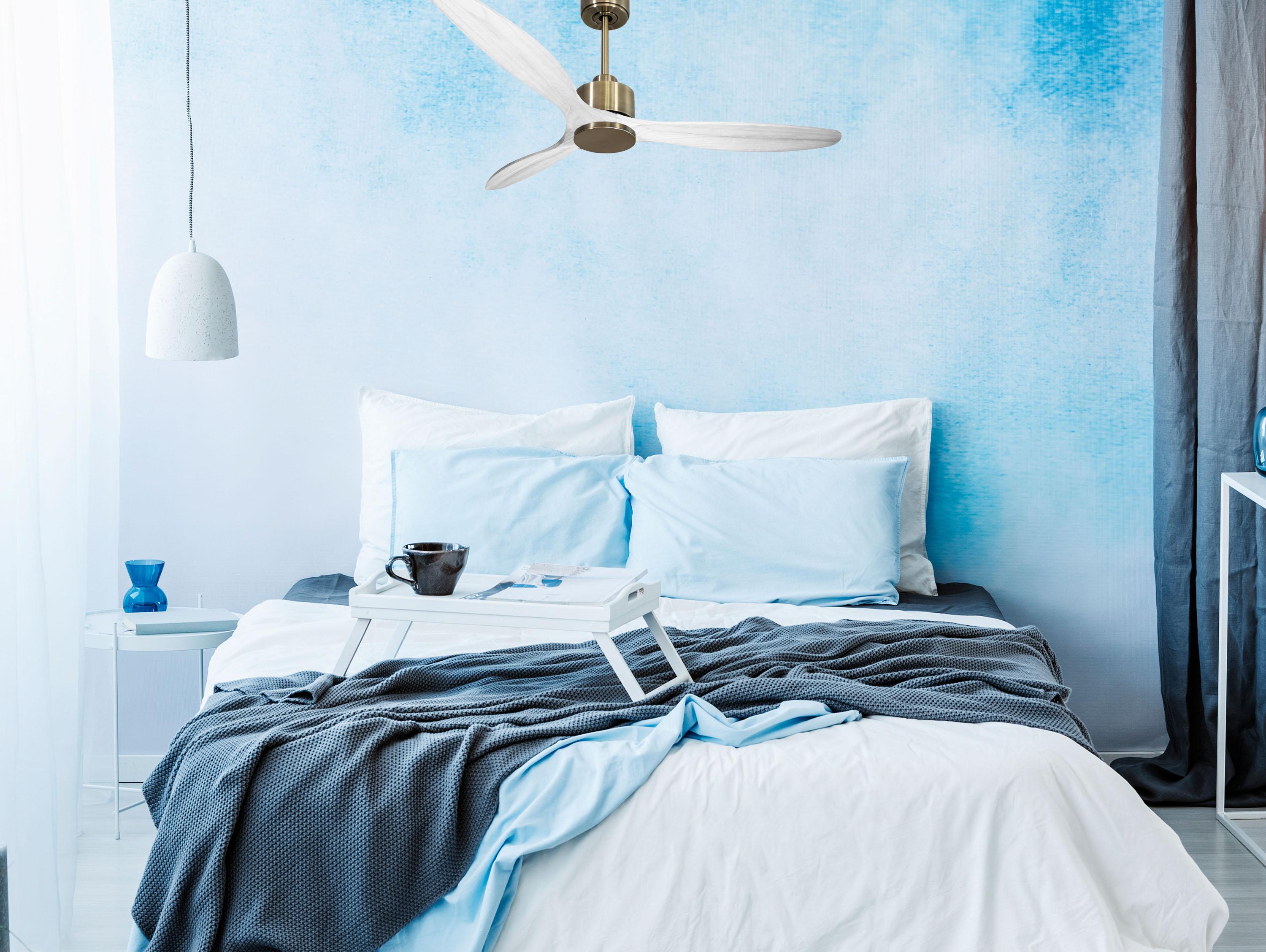 Ventilatore da soffitto Wifi Motore CC Telecomando Hypersilence Memoria