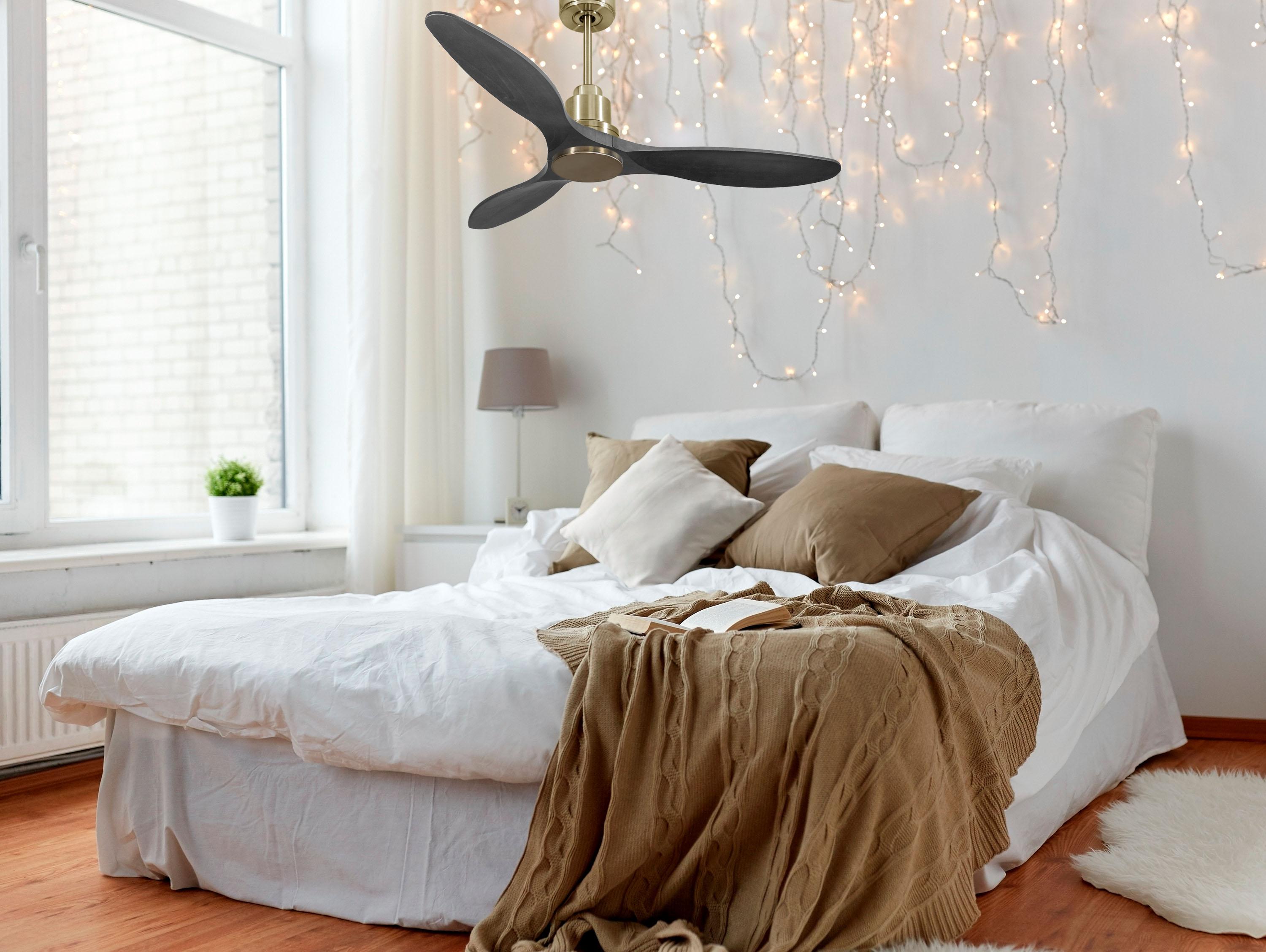 Ventilatore da soffitto Reversibile Termostato Wifi Motore CC Tetti inclinati Telecomando Hypersilence Memoria