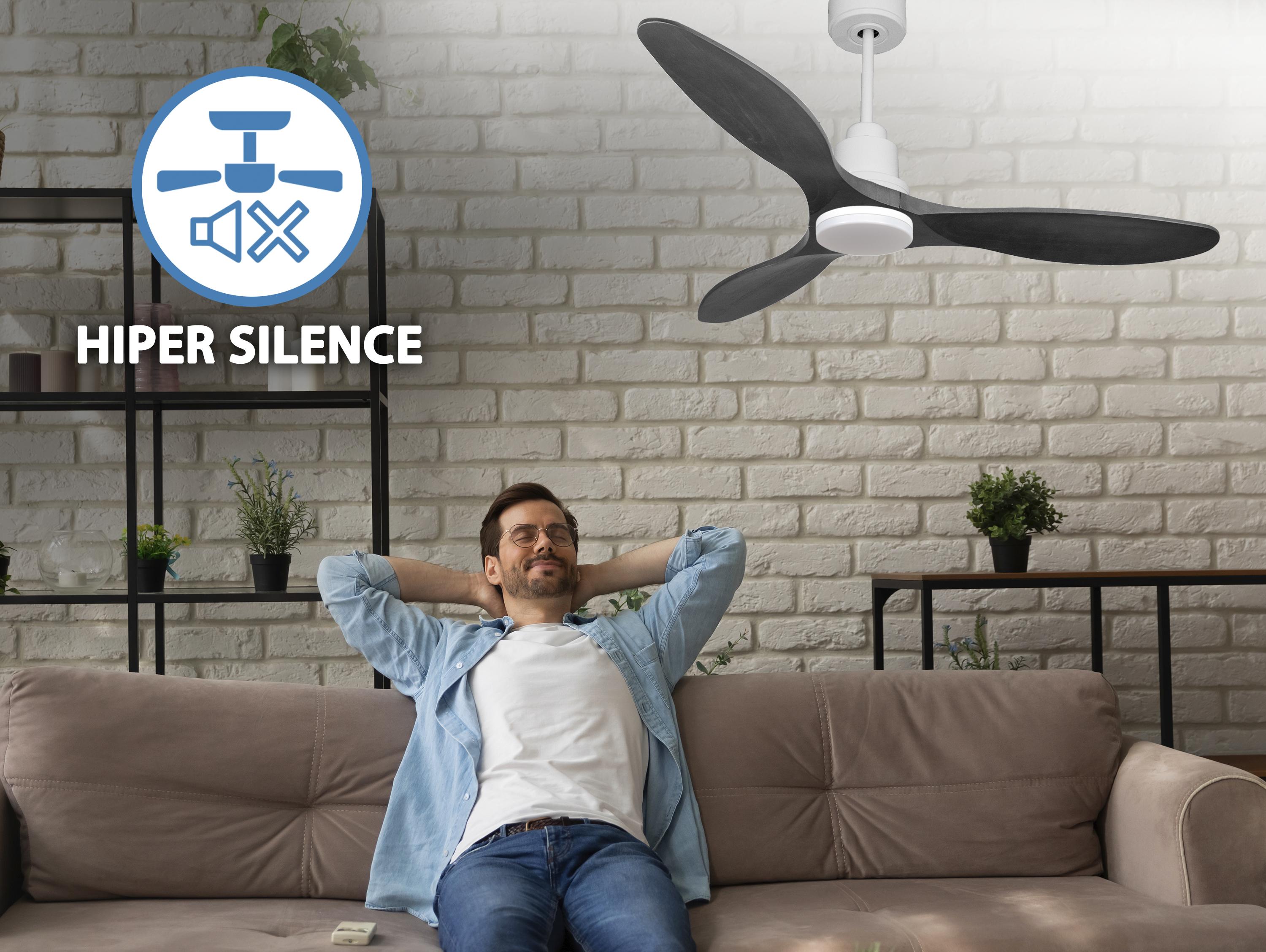 Ventilatore da soffitto Reversibile Termostato Dimmabile Wifi Motore CC Tetti inclinati Telecomando Luce a tre toni Hypersilence Memoria