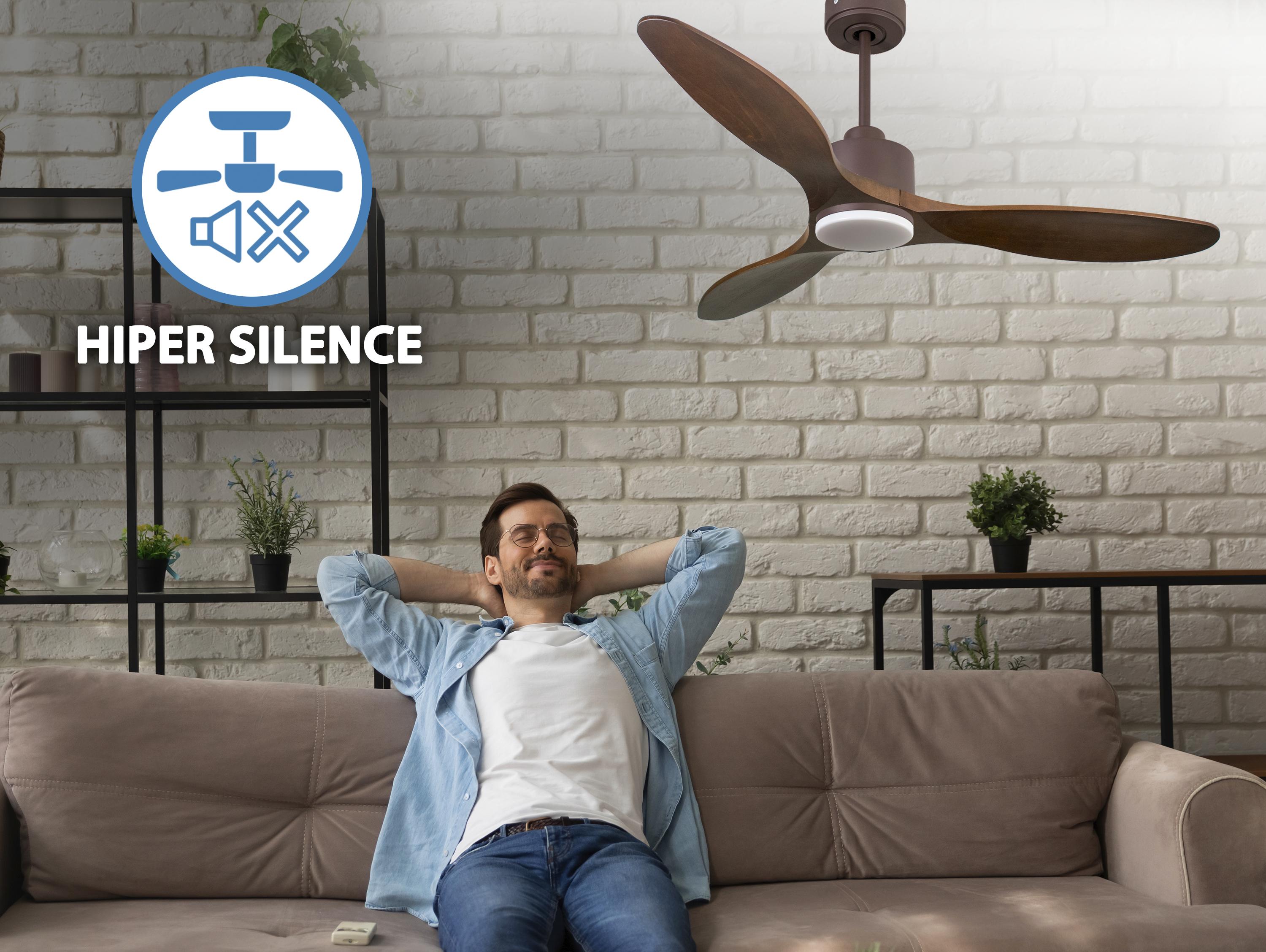 Ventilatore da soffitto Reversibile Termostato Dimmabile Wifi Motore CC Tetti inclinati Telecomando Luce a tre toni Hypersilence Memoria