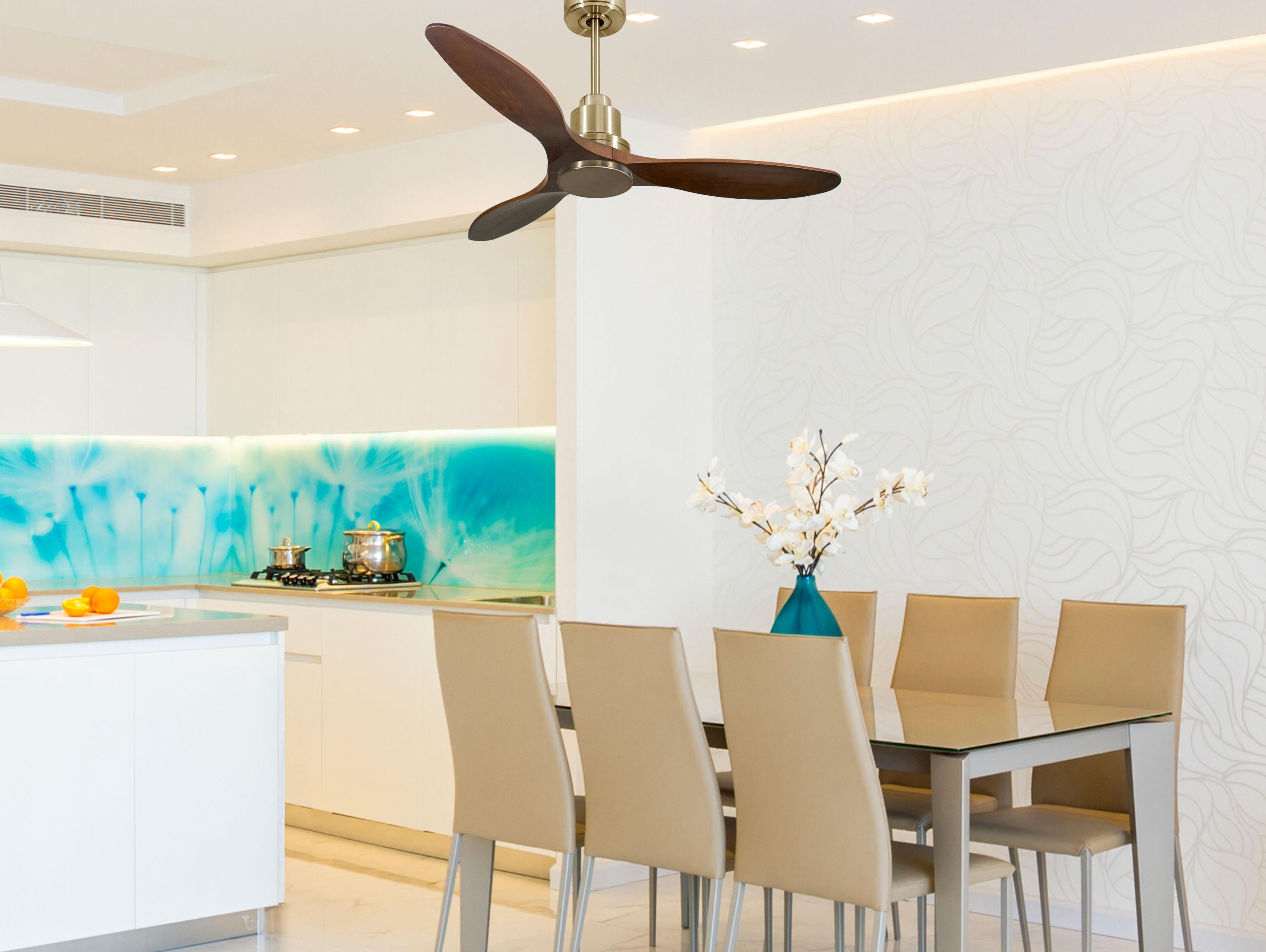 Ventilatore da soffitto Reversibile Termostato Wifi Motore CC Tetti inclinati Telecomando Hypersilence Memoria