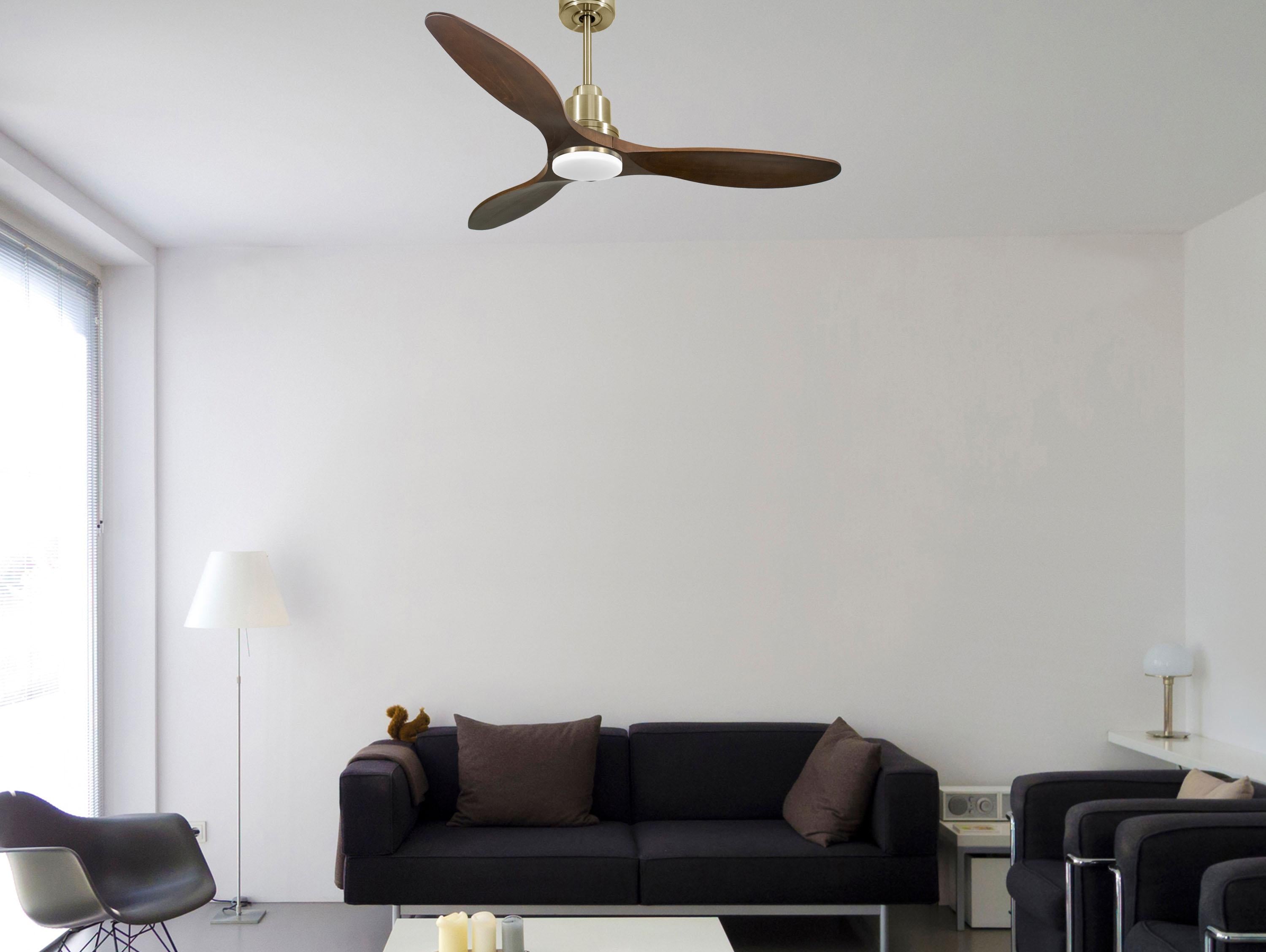 Ventilatore da soffitto Reversibile Termostato Dimmabile Wifi Motore CC Tetti inclinati Telecomando Luce a tre toni Hypersilence Memoria