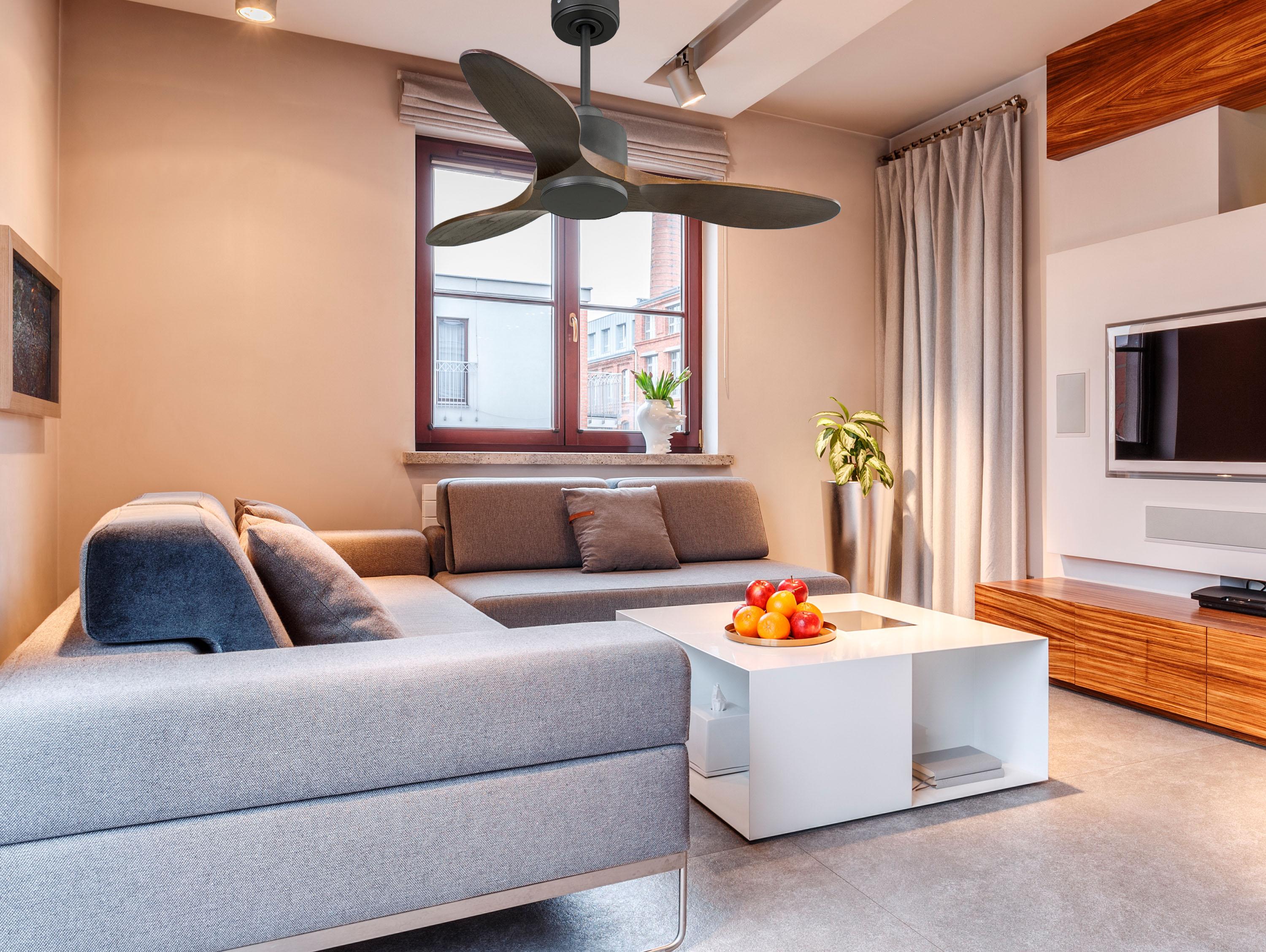 Ventilatore da soffitto Reversibile Termostato Wifi Motore CC Tetti inclinati Telecomando Hypersilence Memoria
