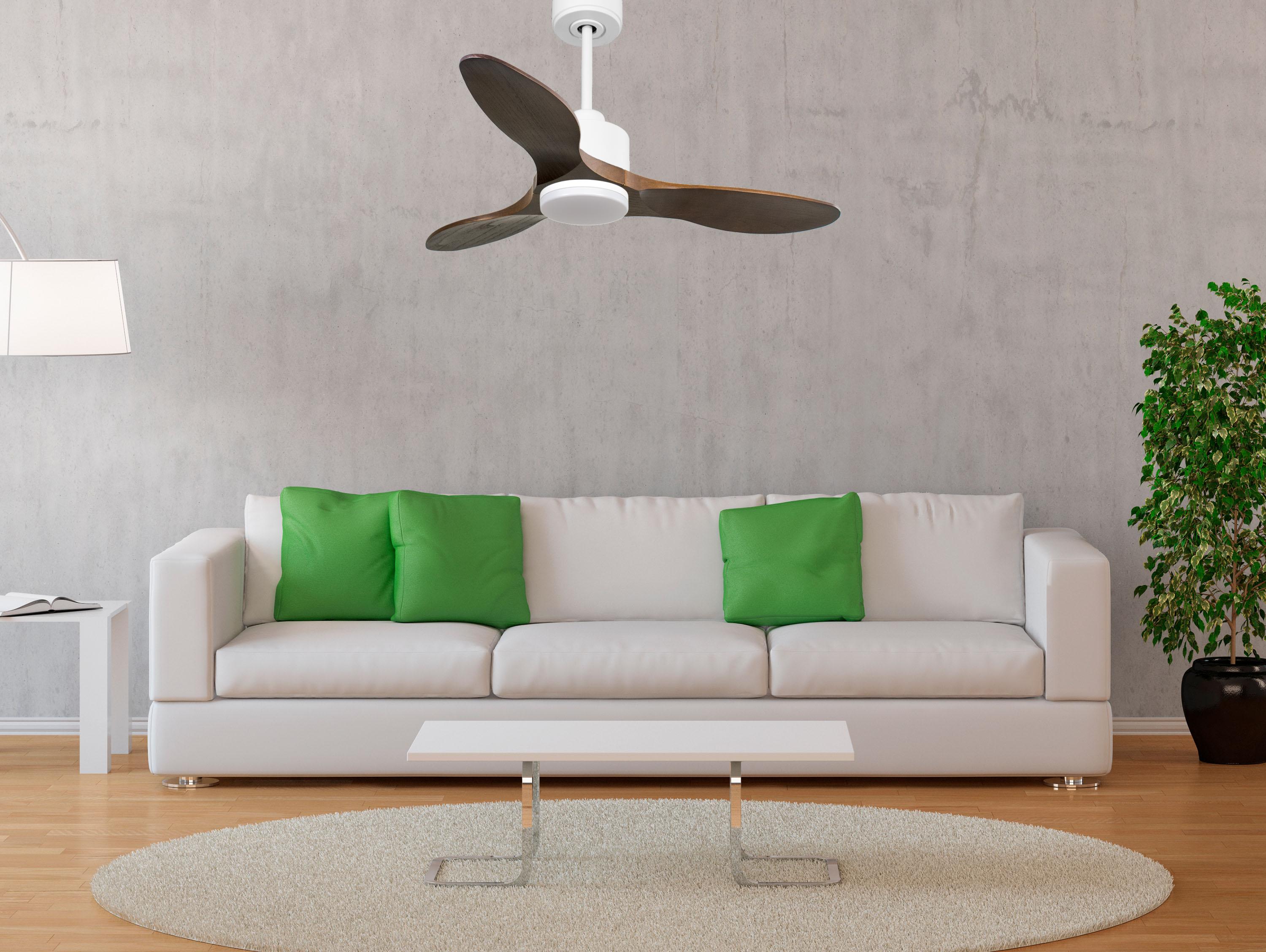 Ventilatore da soffitto Reversibile Termostato Dimmabile Wifi Motore CC Tetti inclinati Telecomando Luce a tre toni Hypersilence Memoria