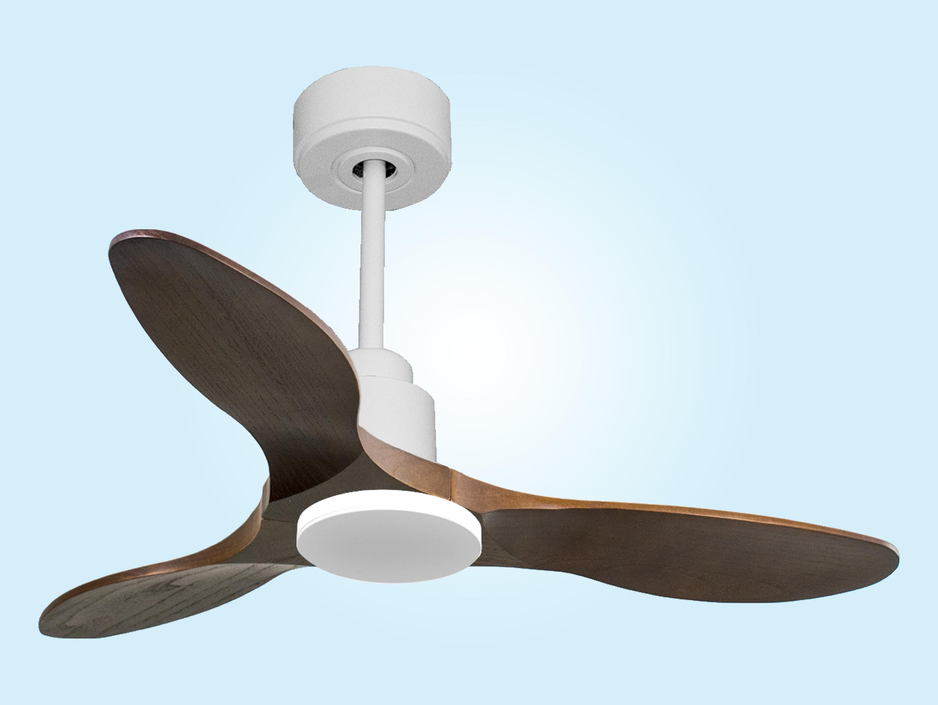 Ventilatore da soffitto Reversibile Termostato Wifi Motore CC Tetti inclinati Telecomando Hypersilence Memoria
