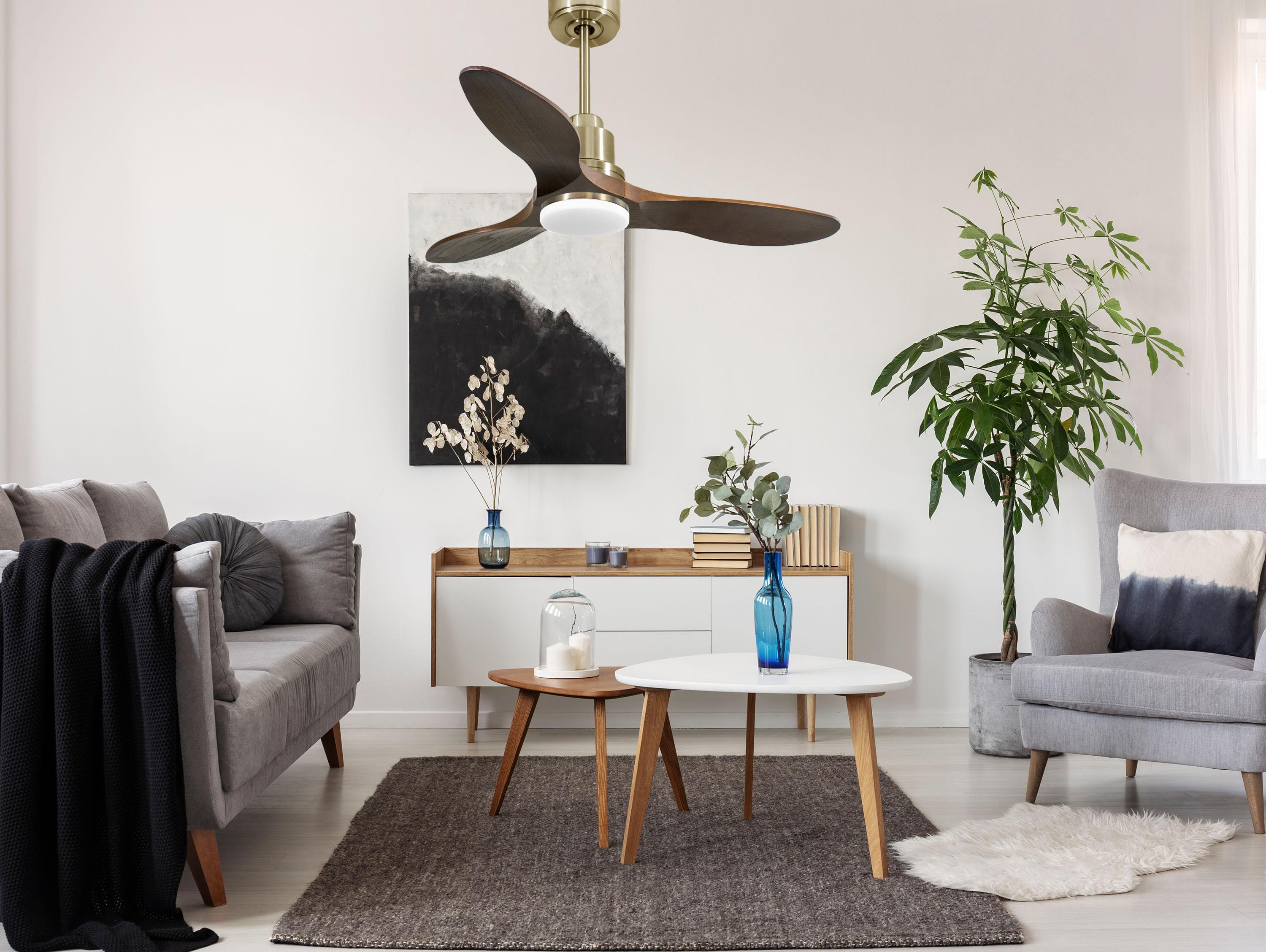Ventilatore da soffitto Reversibile Termostato Dimmabile Wifi Motore CC Tetti inclinati Telecomando Luce a tre toni Hypersilence Memoria