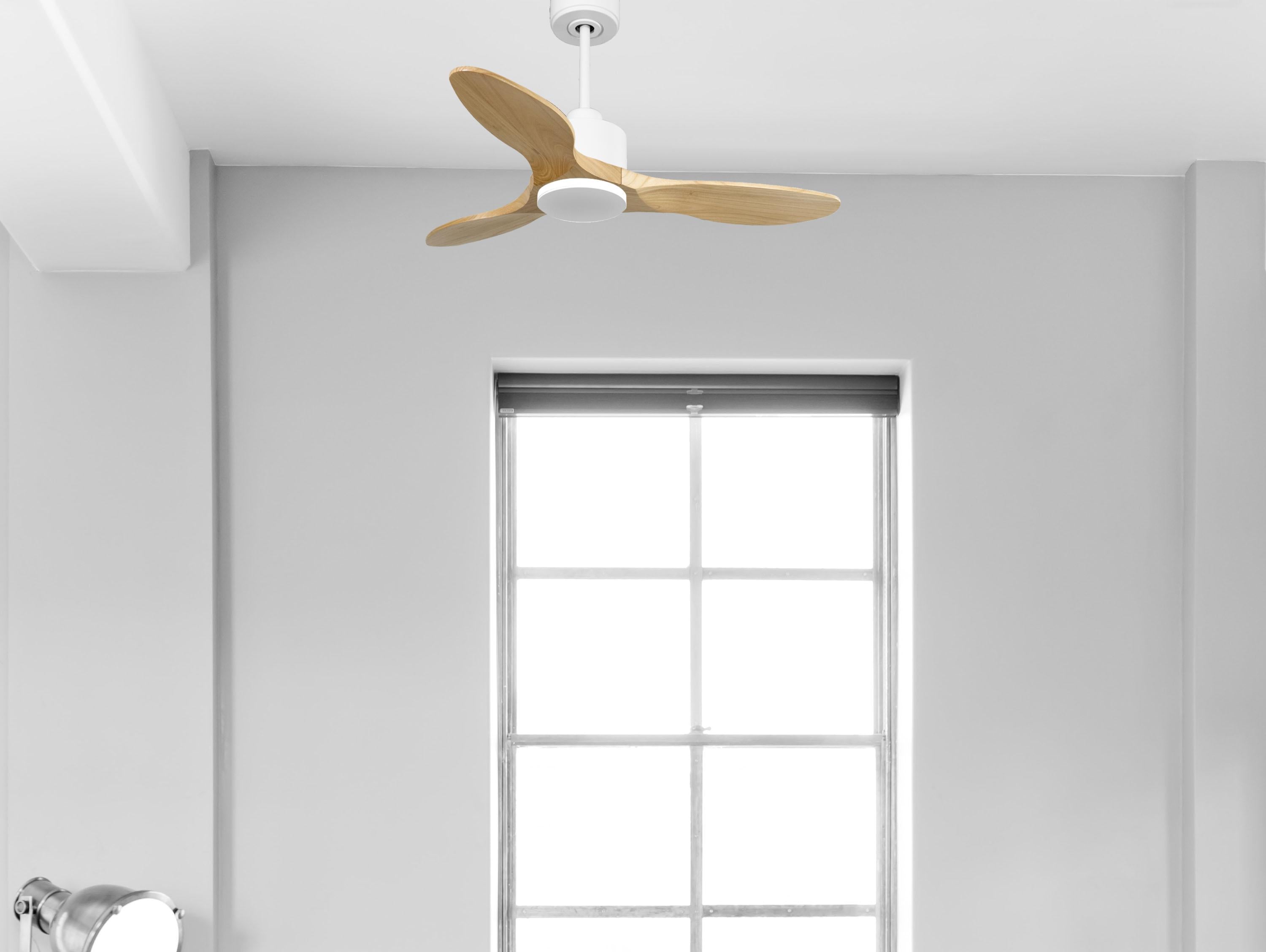 Ventilatore da soffitto Reversibile Termostato Wifi Motore CC Tetti inclinati Telecomando Hypersilence Memoria