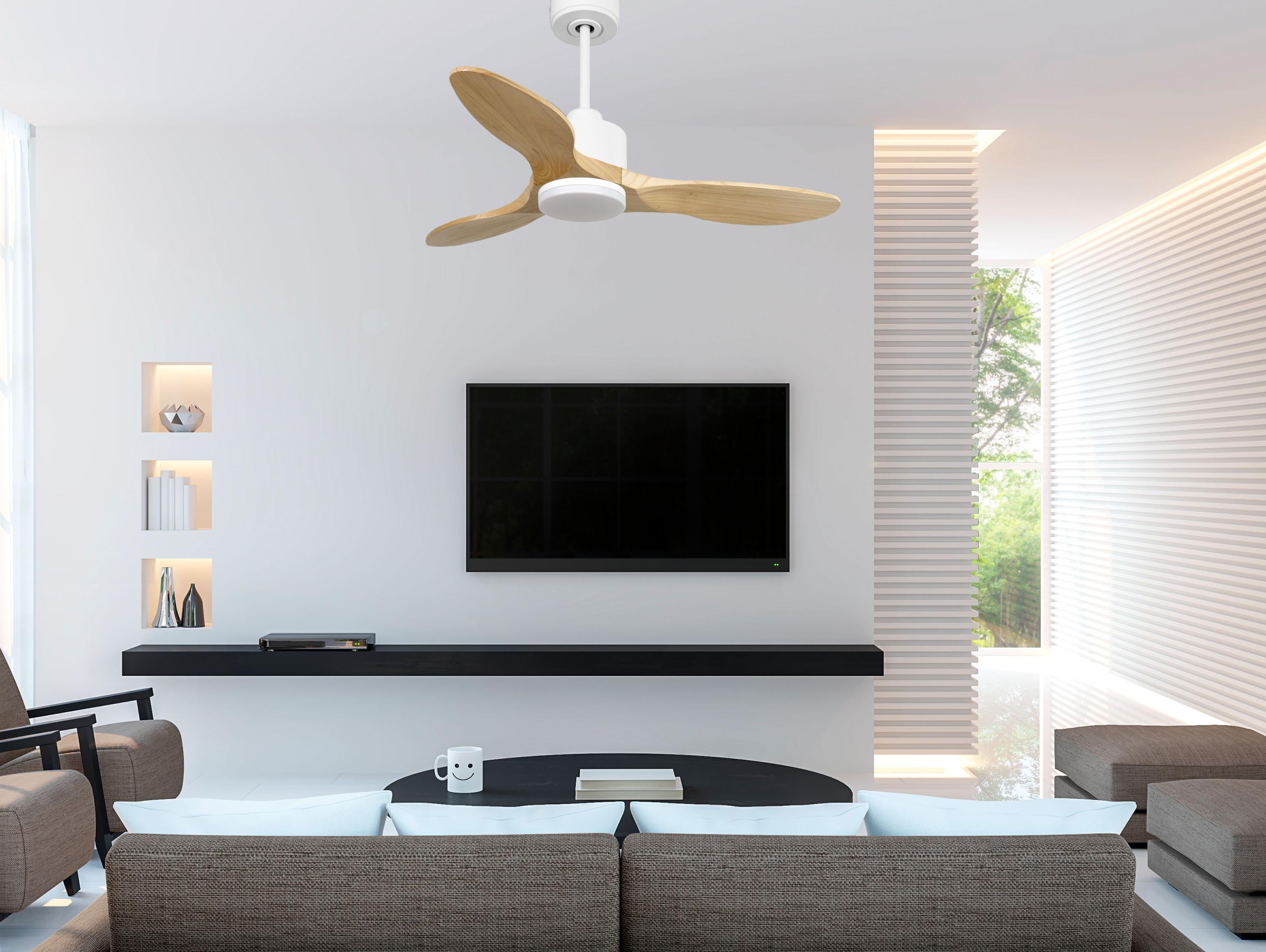 Ventilatore da soffitto Reversibile Termostato Dimmabile Wifi Motore CC Tetti inclinati Telecomando Luce a tre toni Hypersilence Memoria