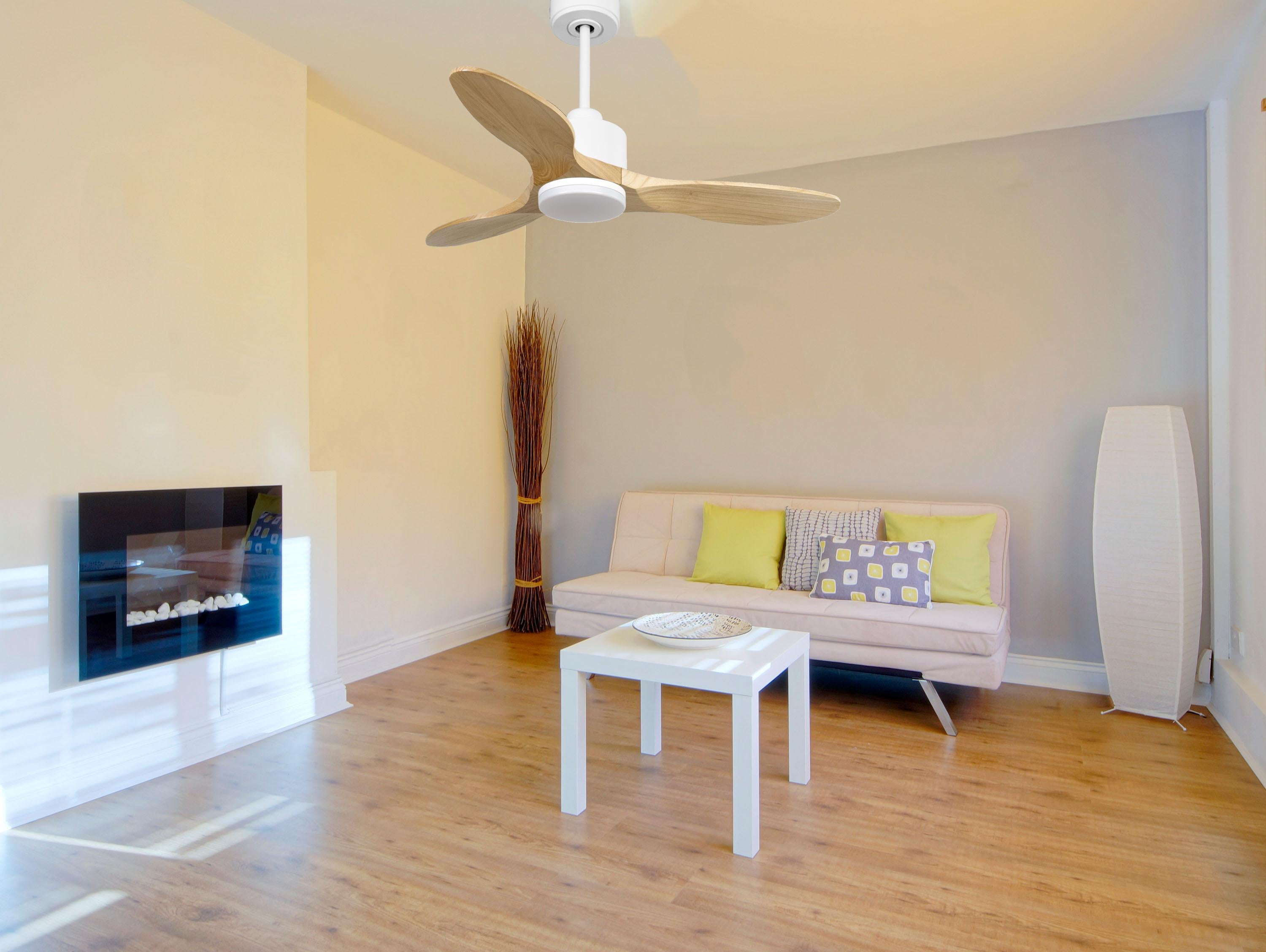 Ventilatore da soffitto Reversibile Termostato Dimmabile Wifi Motore CC Tetti inclinati Telecomando Luce a tre toni Hypersilence Memoria