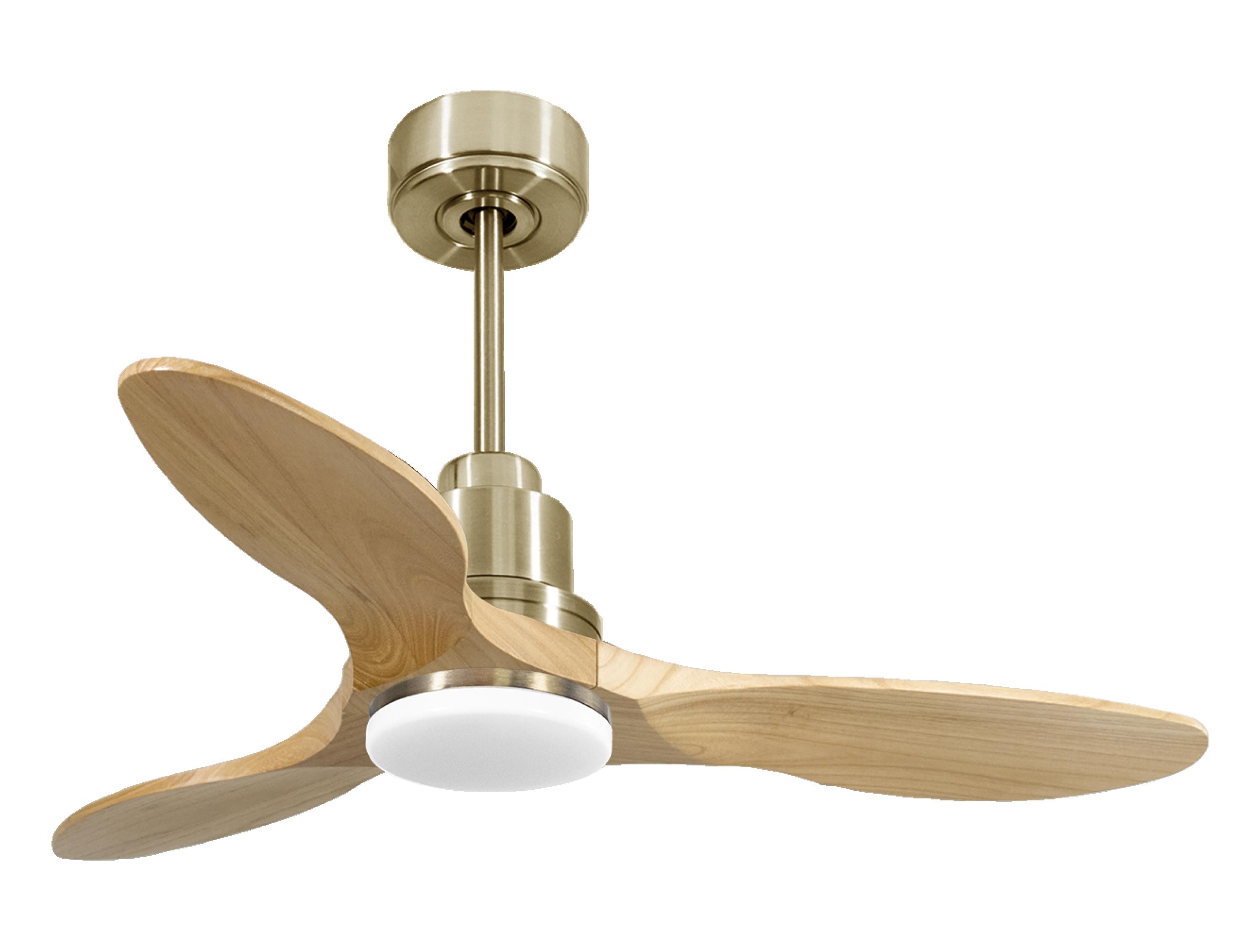 Ventilatore da soffitto Reversibile Termostato Dimmabile Wifi Motore CC Tetti inclinati Telecomando Luce a tre toni Hypersilence Memoria