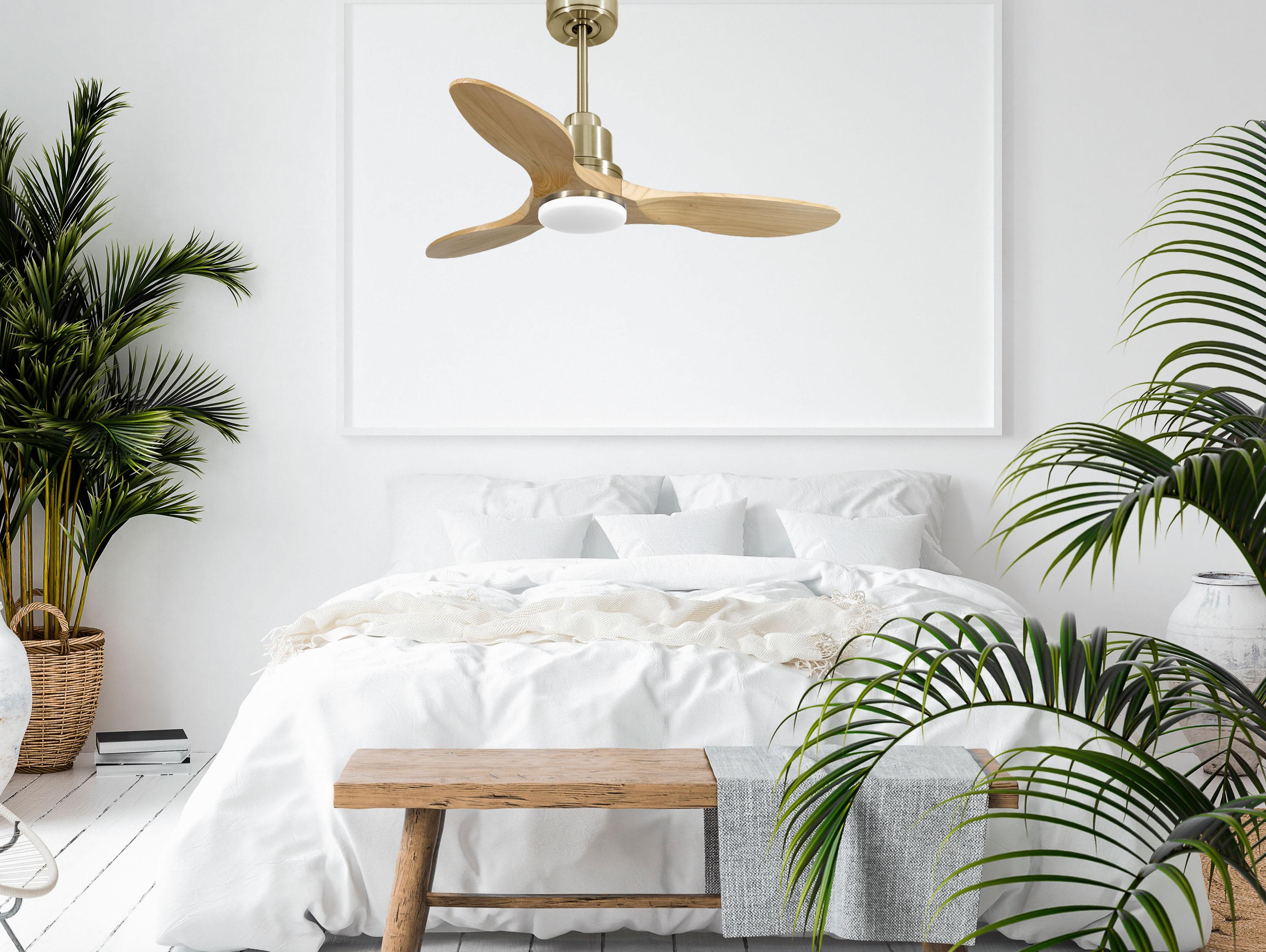 Ventilatore da soffitto Reversibile Termostato Dimmabile Wifi Motore CC Tetti inclinati Telecomando Luce a tre toni Hypersilence Memoria