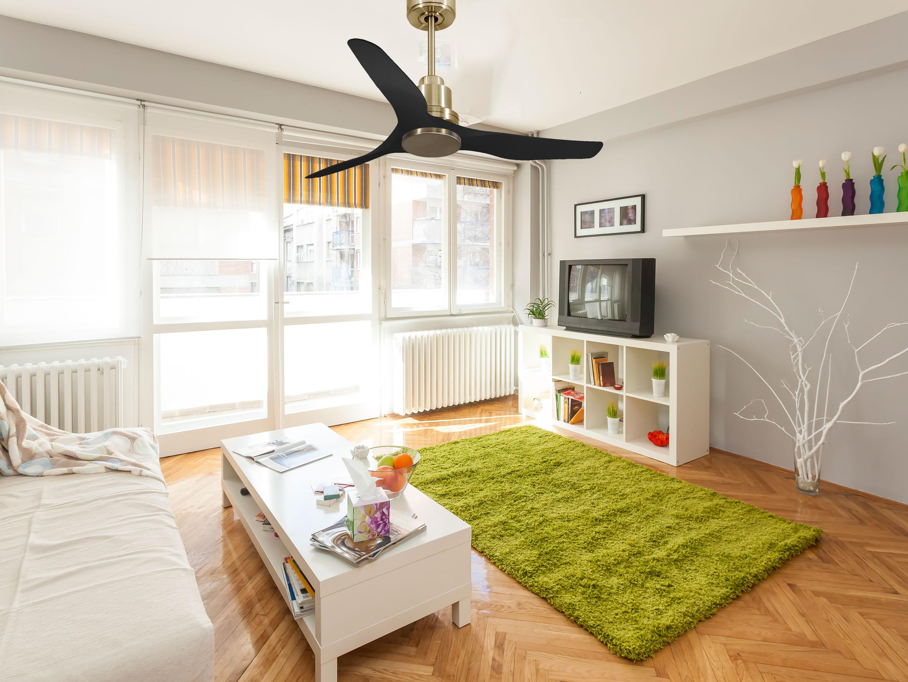 Ventilatore da soffitto Reversibile Termostato Wifi Motore CC Tetti inclinati Telecomando Adattatore 2/3 lame Hypersilence Memoria