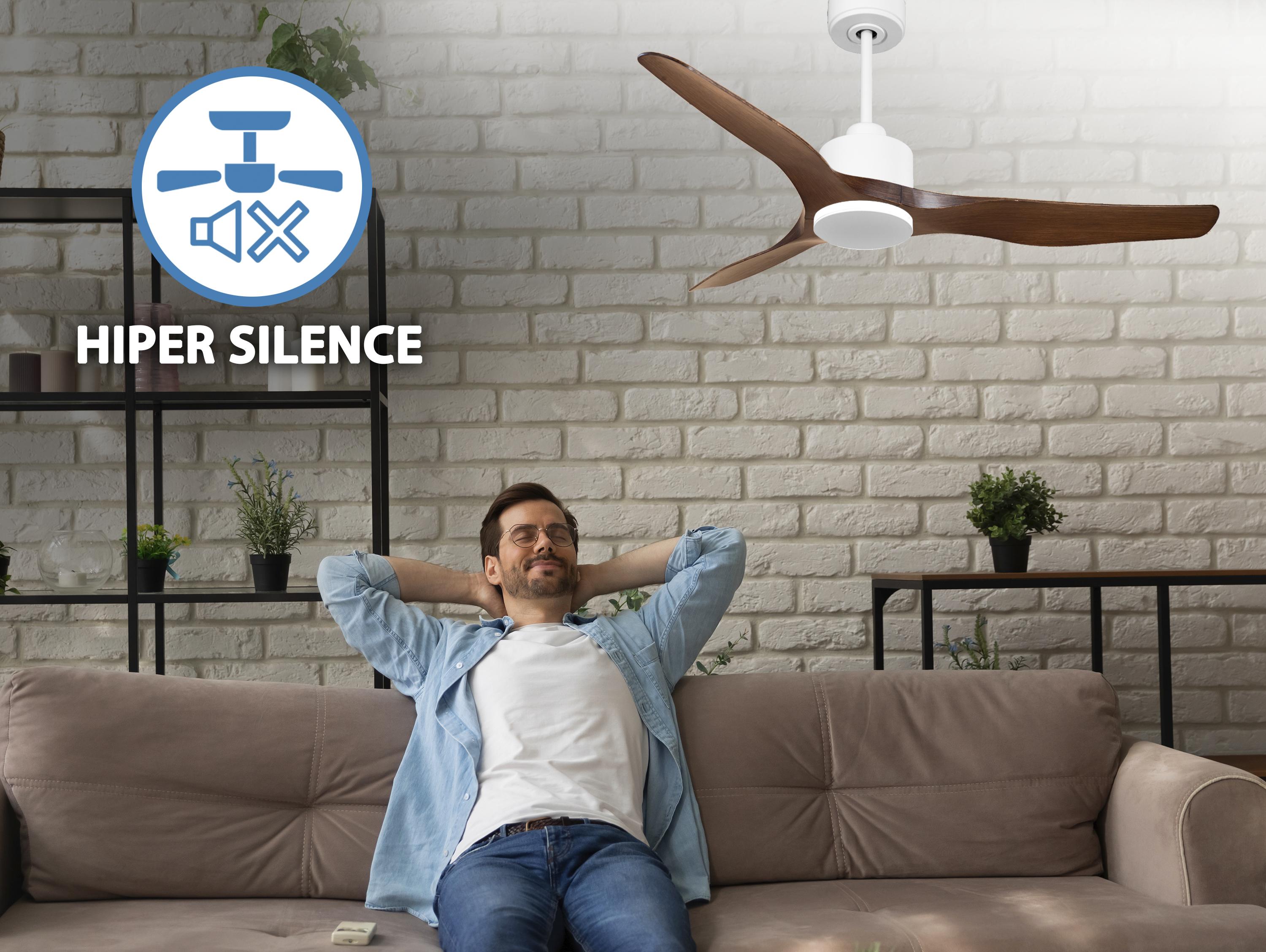 Ventilatore da soffitto Reversibile Termostato Wifi Motore CC Tetti inclinati Telecomando Adattatore 2/3 lame Hypersilence Memoria