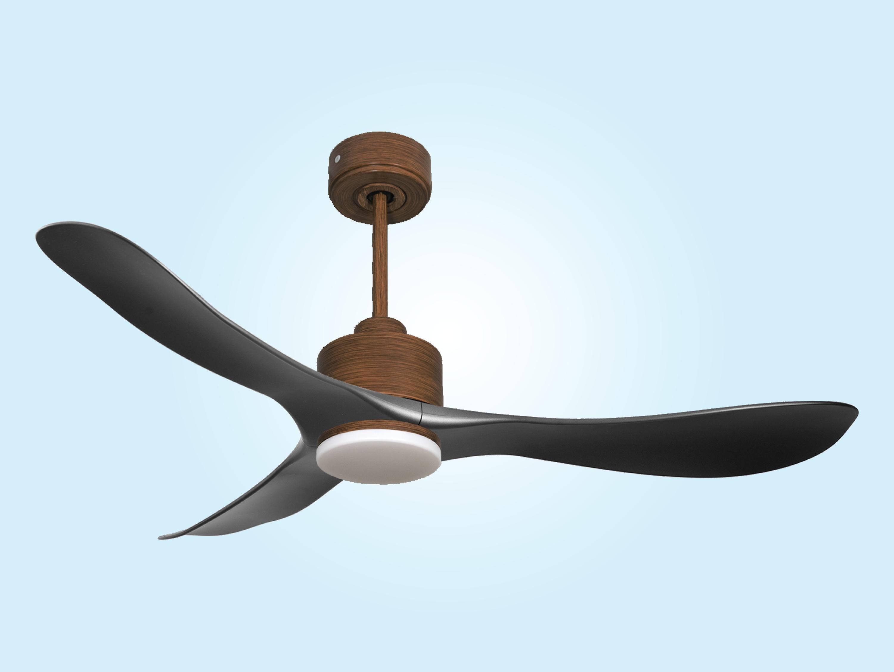Ventilatore da soffitto Reversibile Termostato Dimmabile Wifi Motore CC Tetti inclinati Telecomando Luce a tre toni Hypersilence Memoria