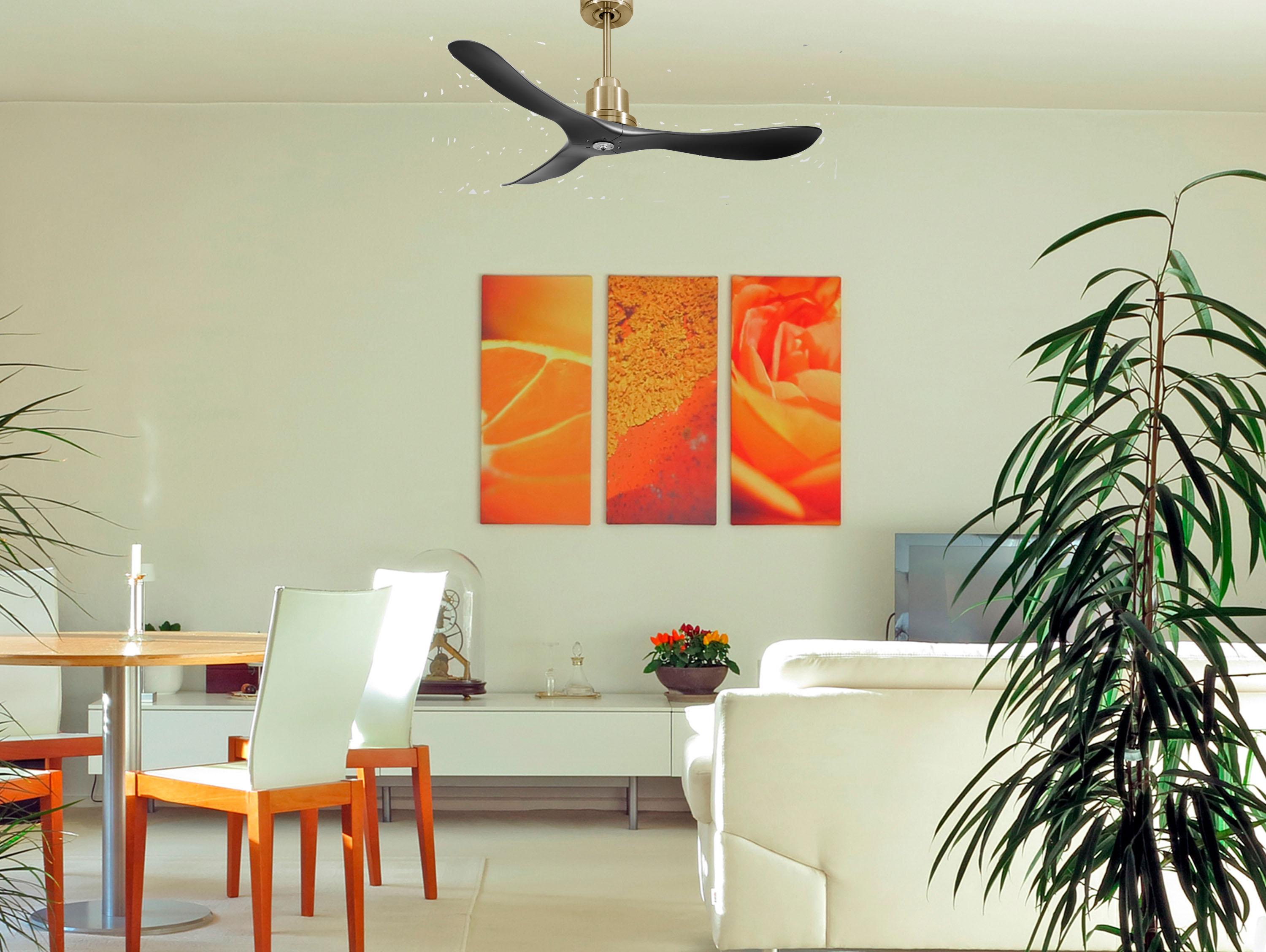 Ventilatore da soffitto Reversibile Termostato Dimmabile Wifi Motore CC Tetti inclinati Telecomando Luce a tre toni Hypersilence Memoria